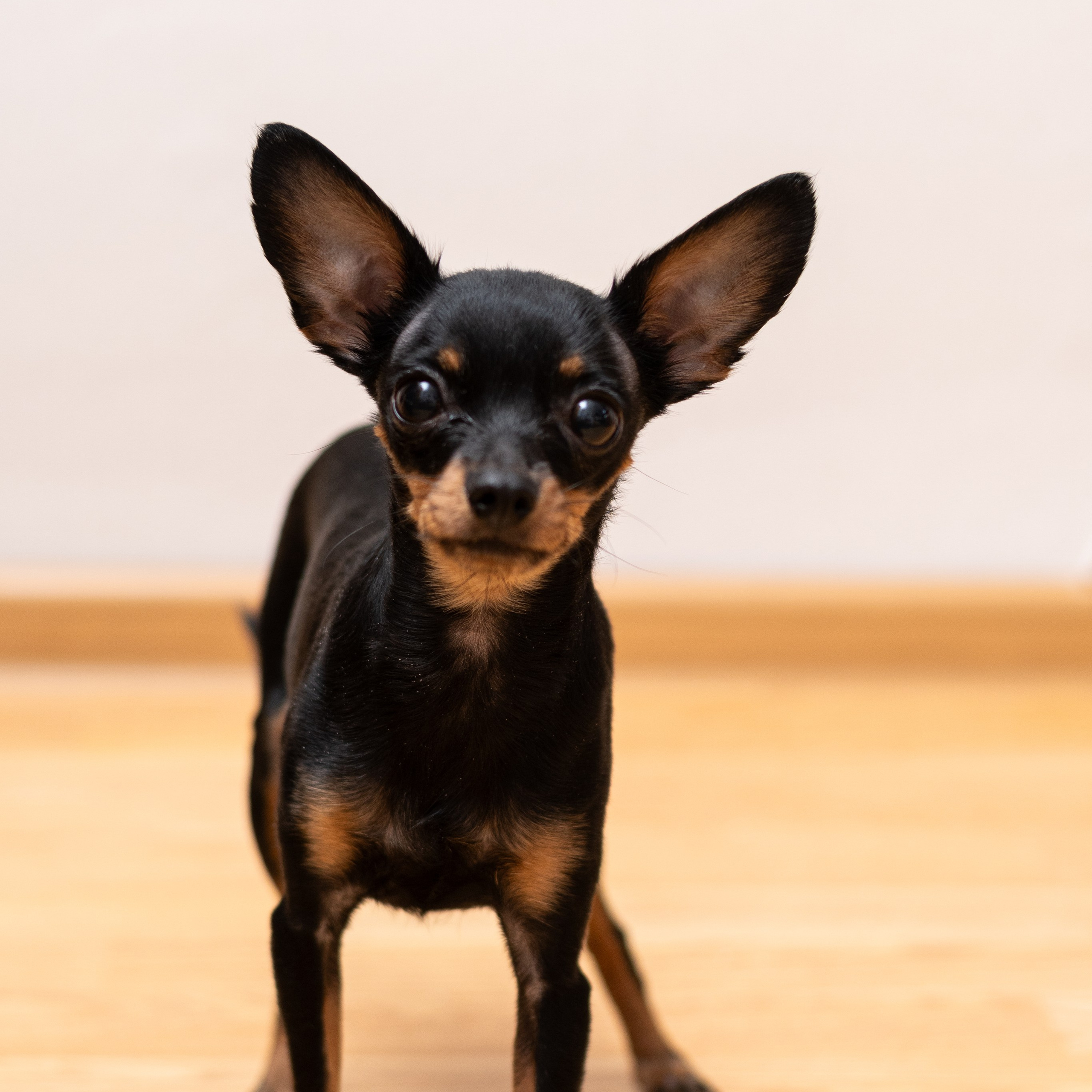 Отзывы. Семейный и детский фотограф в Белгороде Сёмкина Екатерина