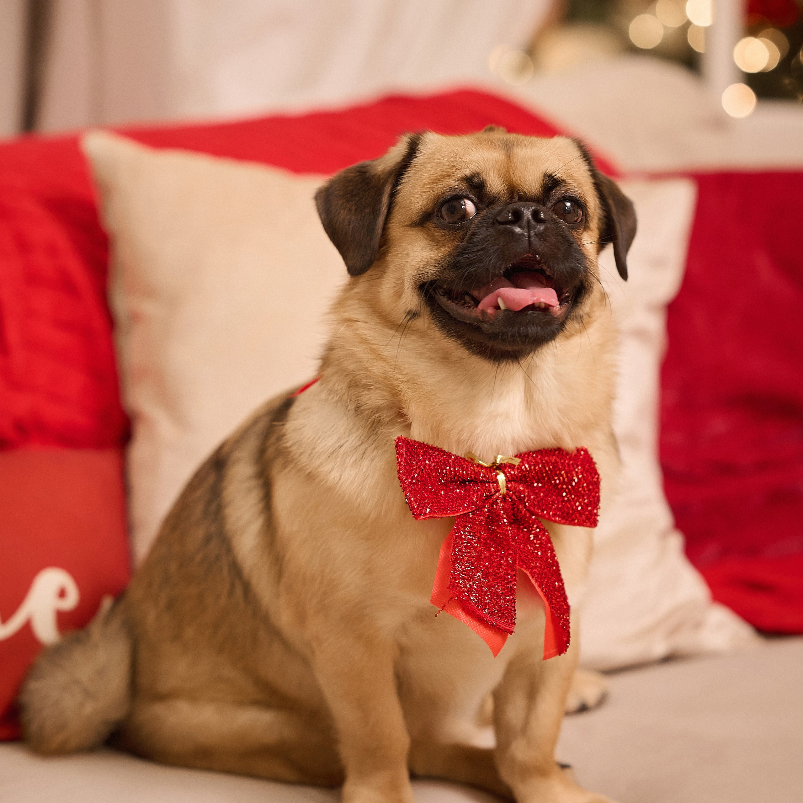 Отзывы. Семейный и детский фотограф Катерина Рожкова