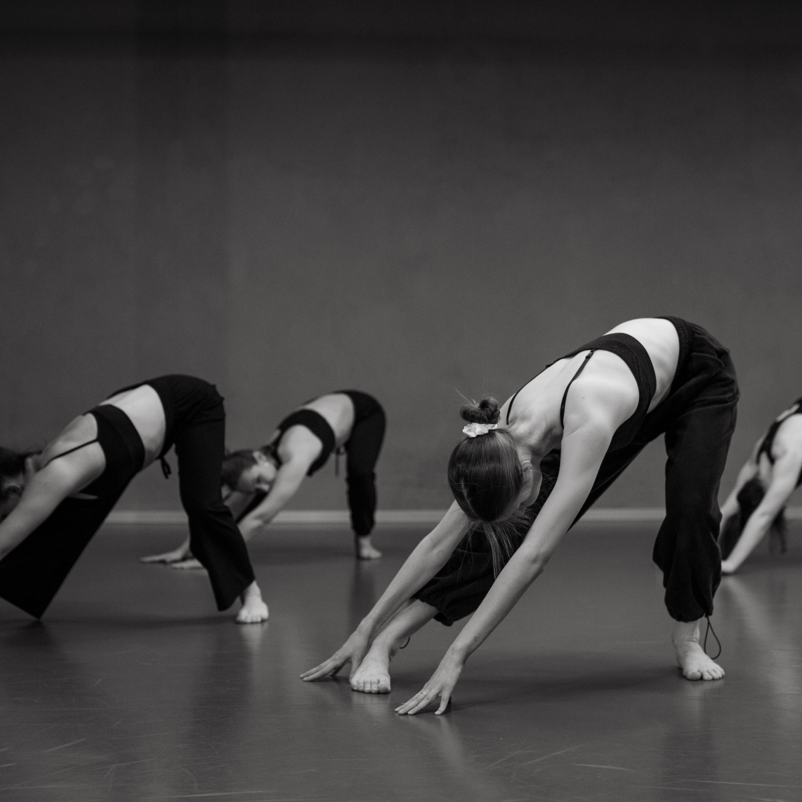 PLASTIKA. Курс по партнерингу