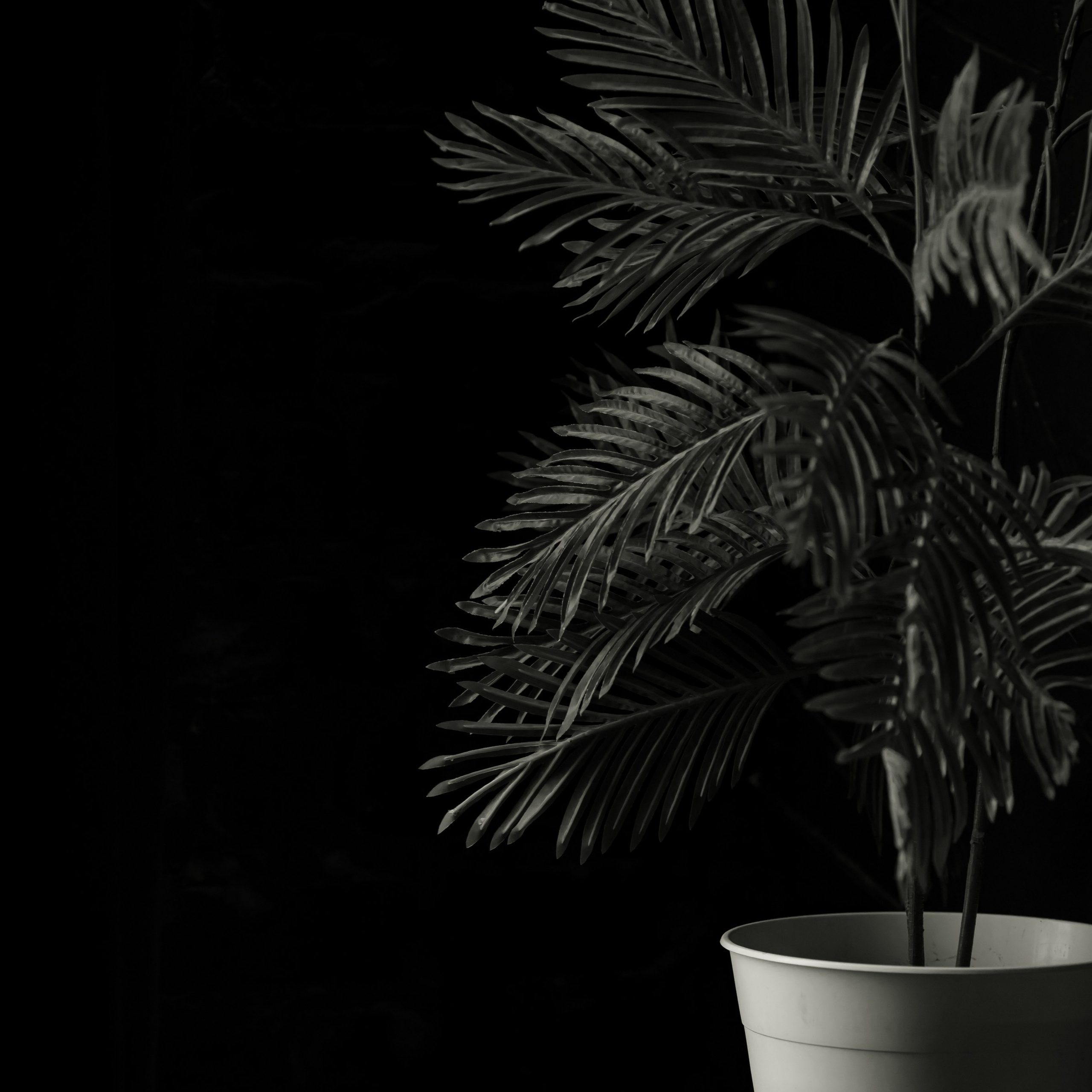 Отзывы. Портретный фотограф в Нижнем Новгороде, Санкт-Петербурге Лена Зверева