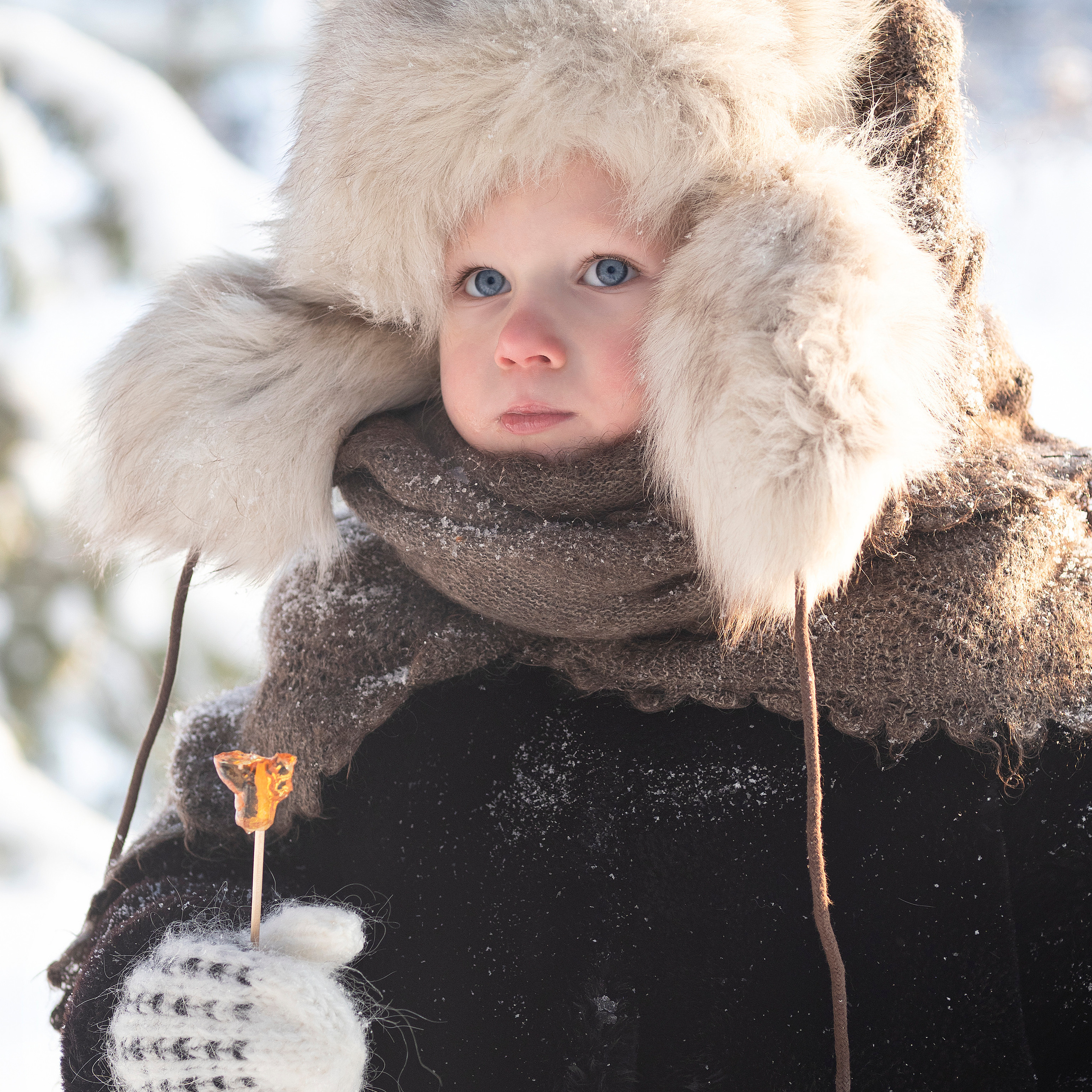 Отзывы. Семейный фотограф в Красноярске Лизоркина Вера