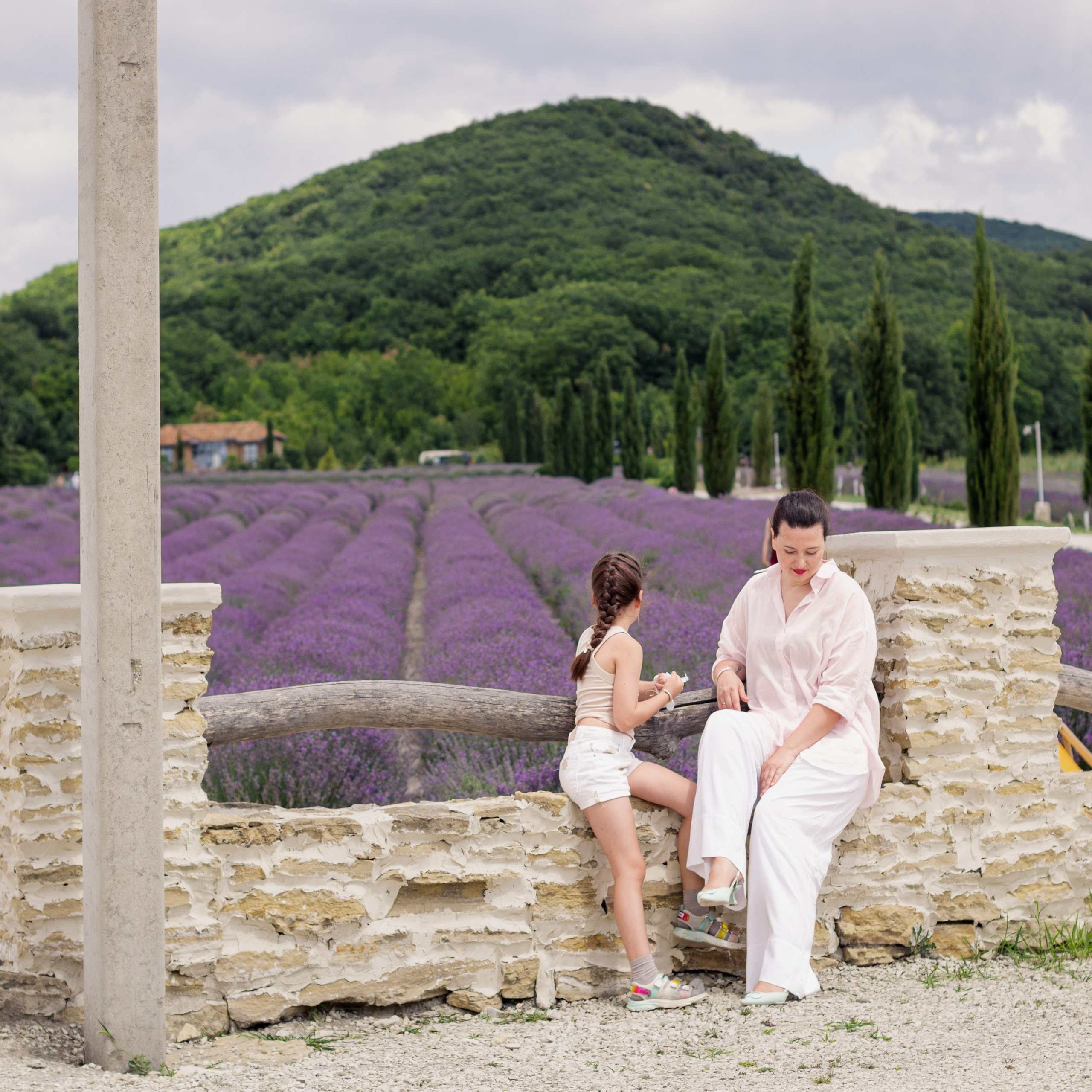 Лида и&nbsp;Милада. Лаванда