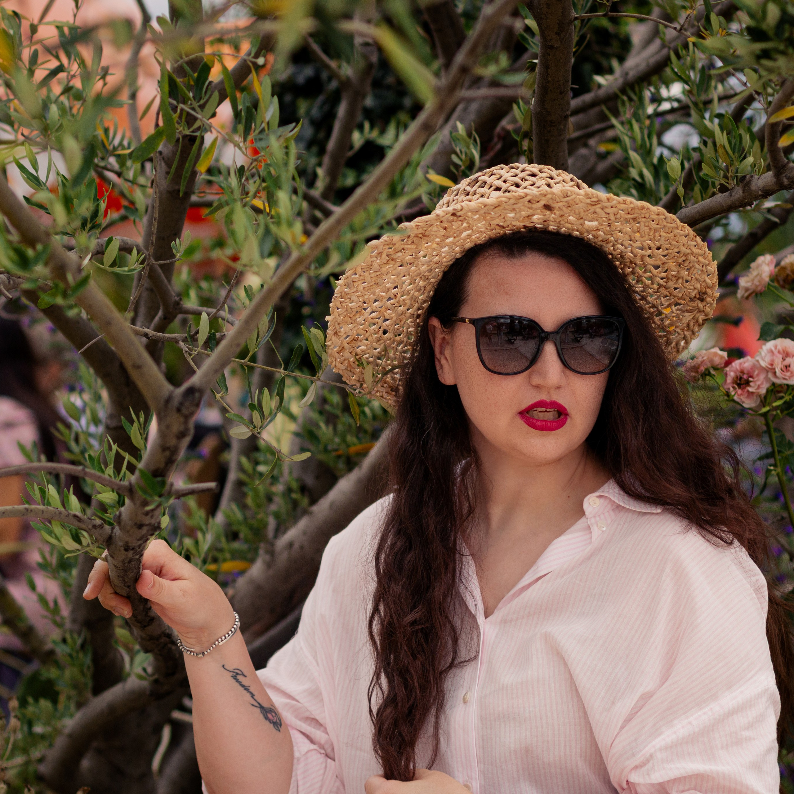 Лида. Дерево оливы