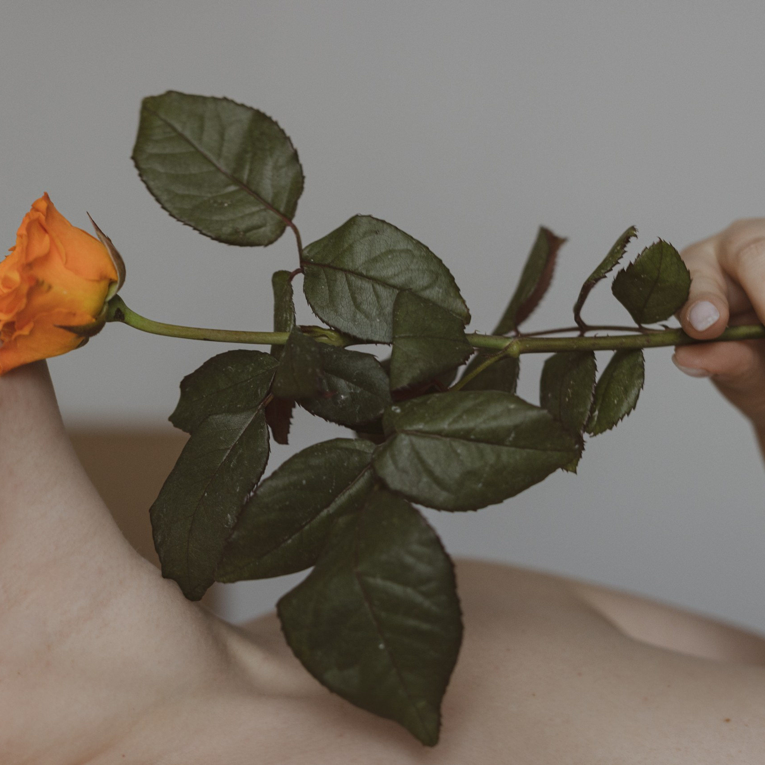 Отзывы. 💗КЛУБ НЕЖНОСТИ К СЕБЕ💗