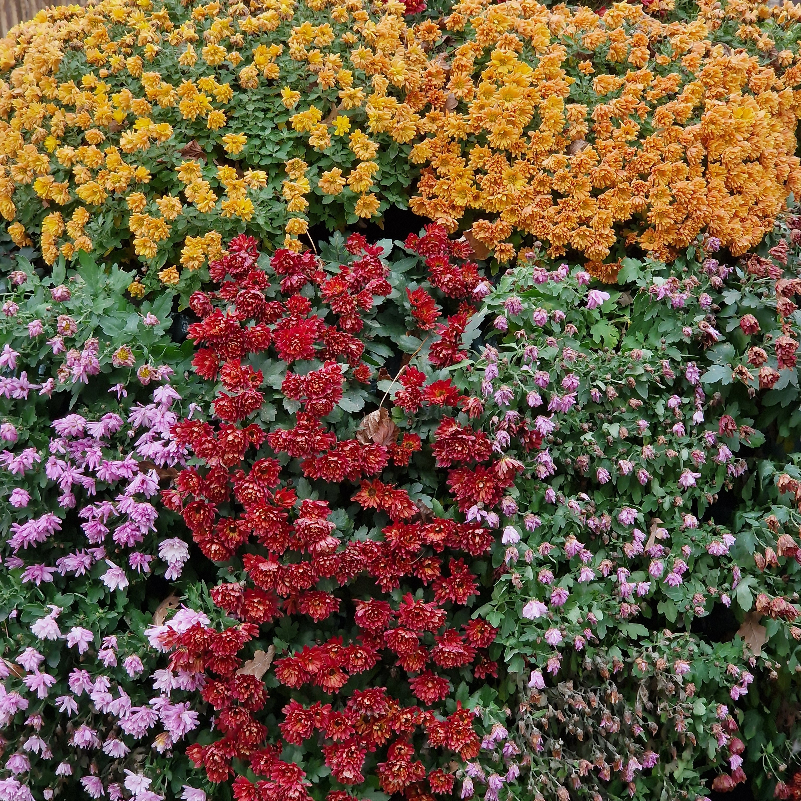 Отзывы. 💗КЛУБ НЕЖНОСТИ К СЕБЕ💗