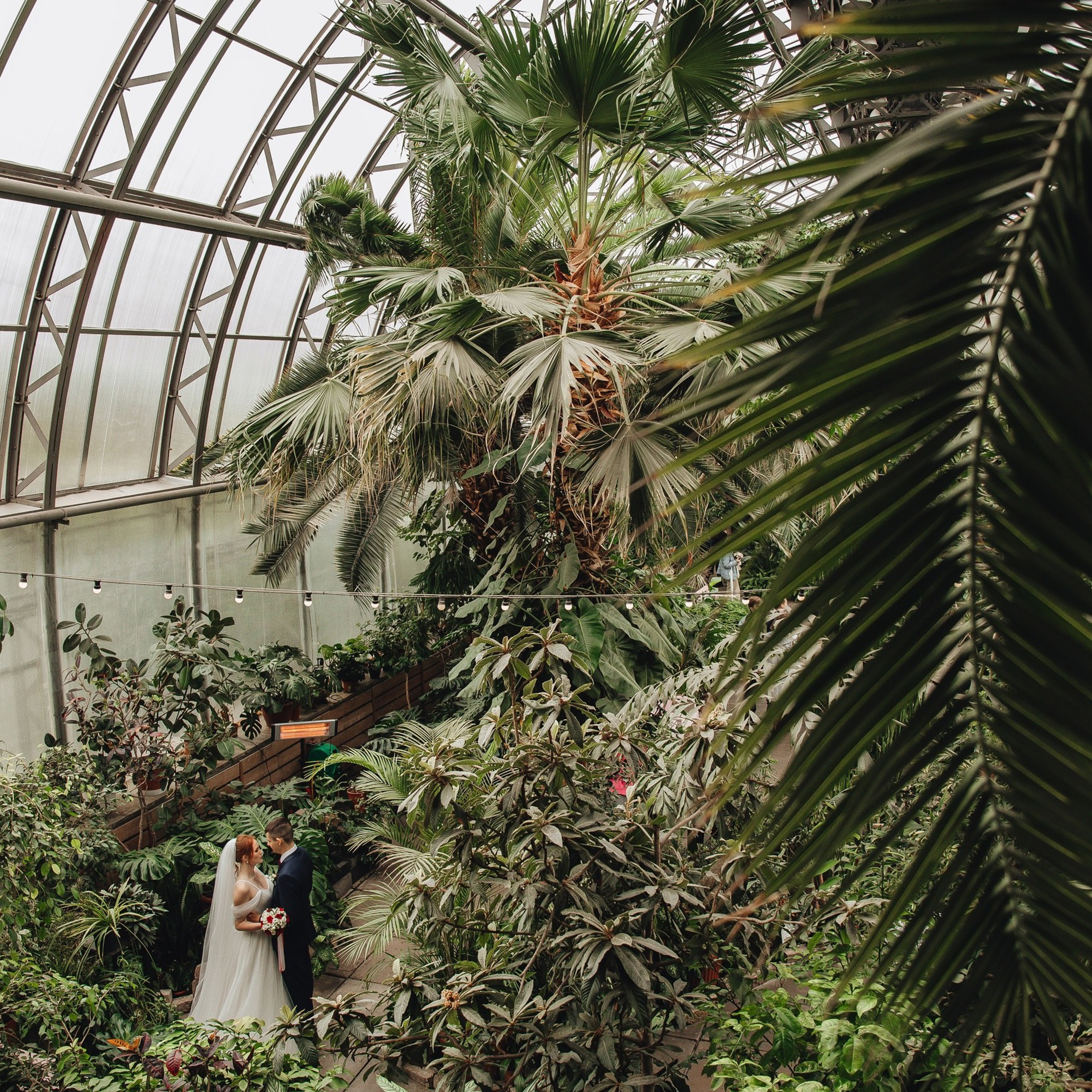 оранжерея Таврического сада