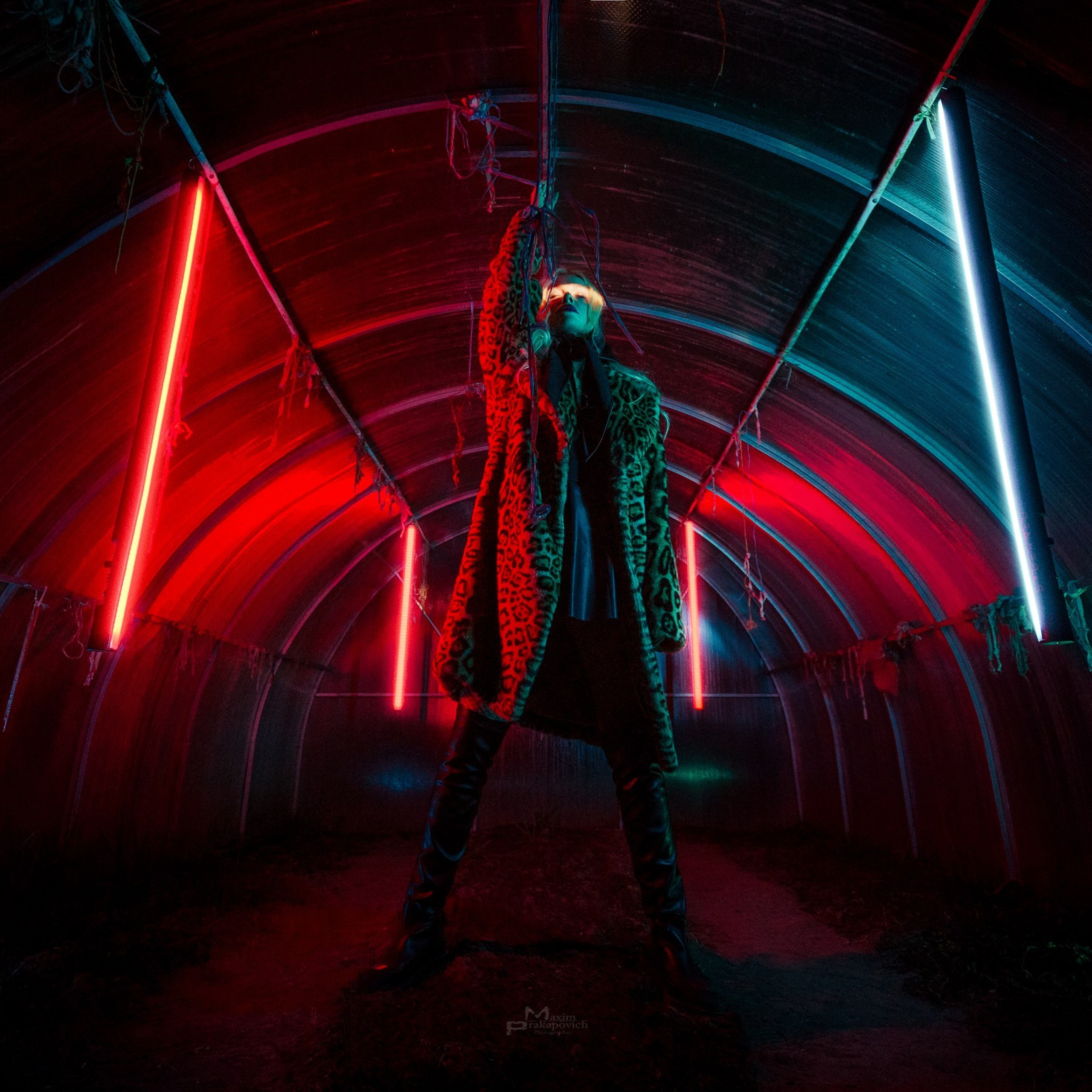 The Greenhouse Project