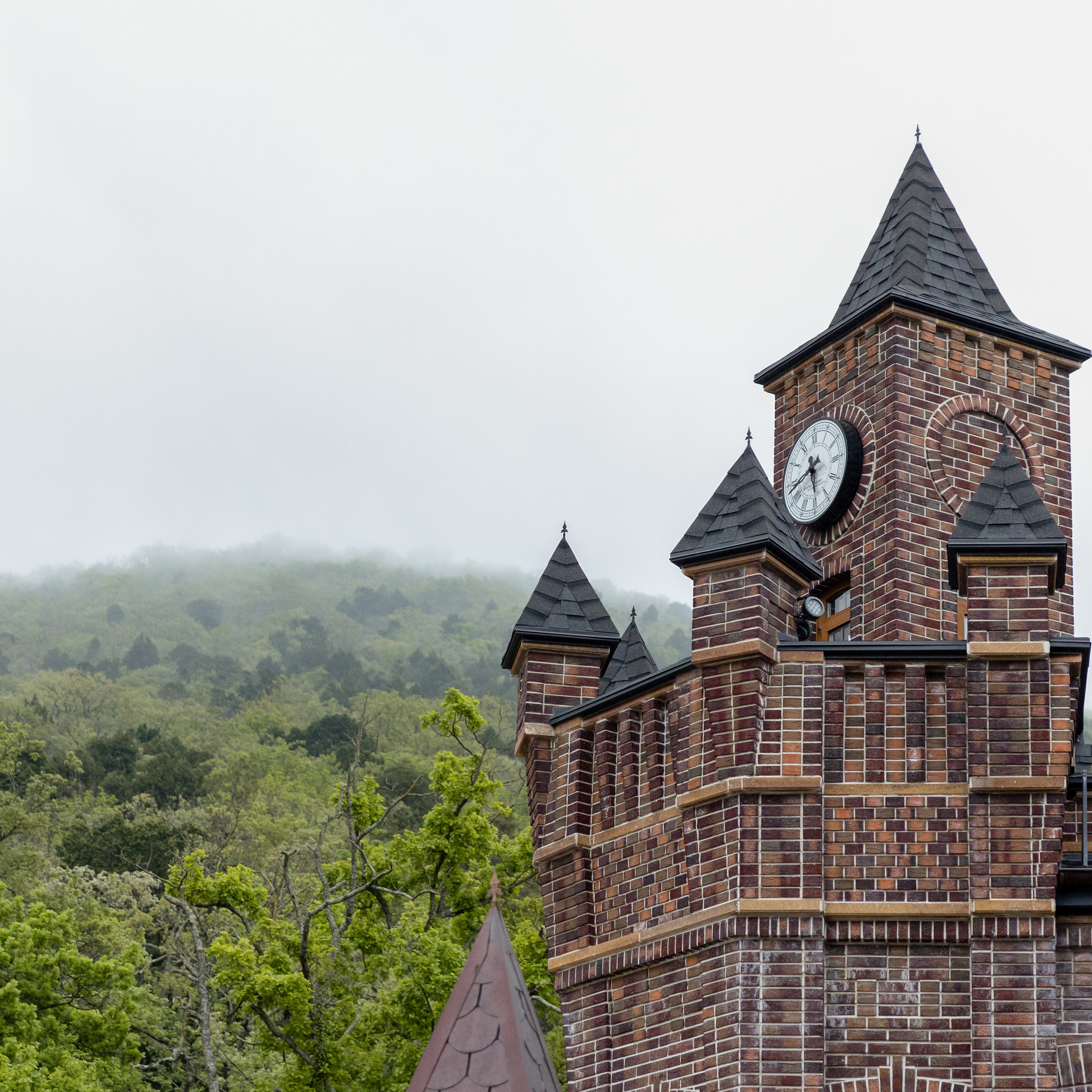 Отзывы. Свадебный и семейный фотограф Евгения Привалова. Новороссийск. Анапа