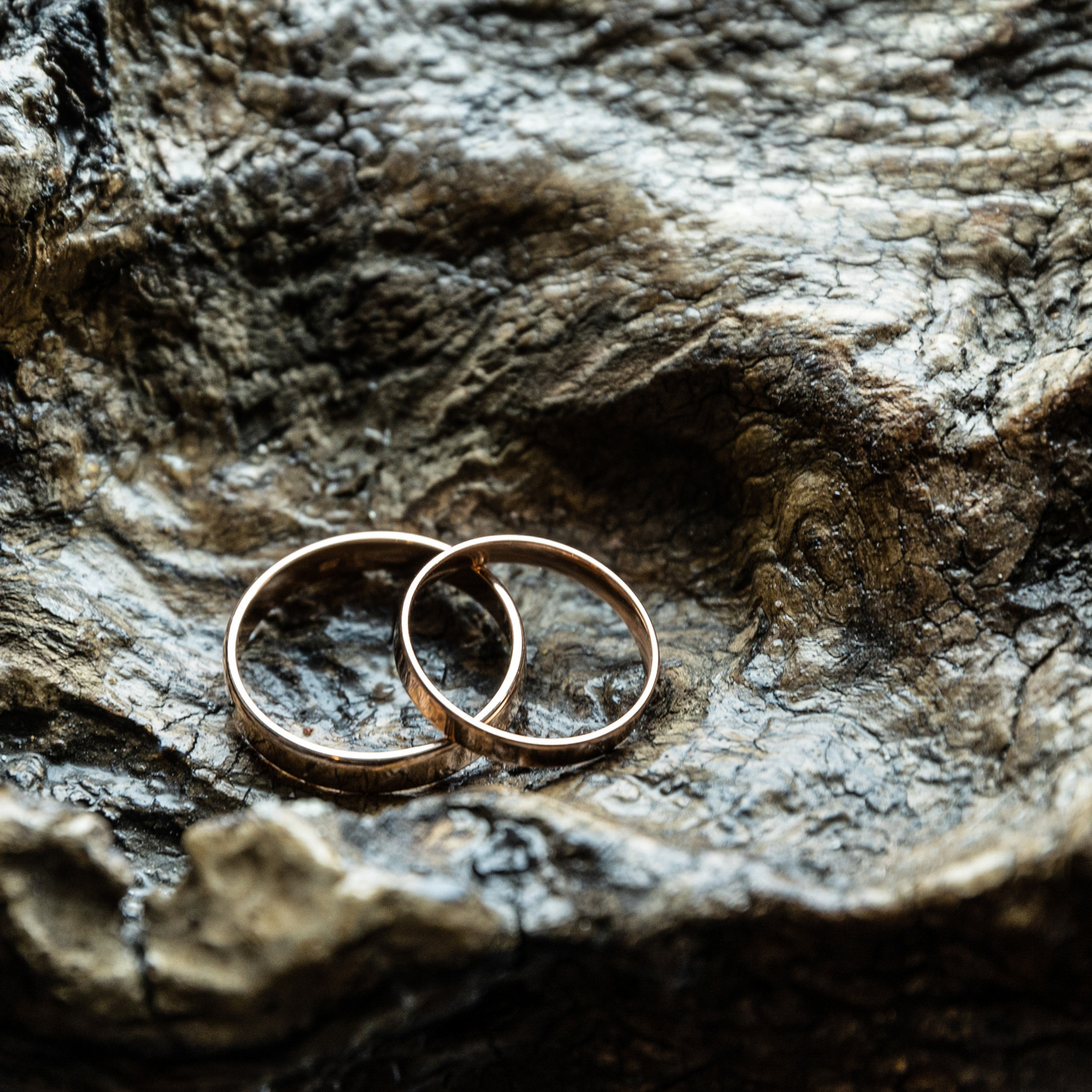 Отзывы. Свадебный и семейный фотограф Евгения Привалова. Новороссийск. Анапа