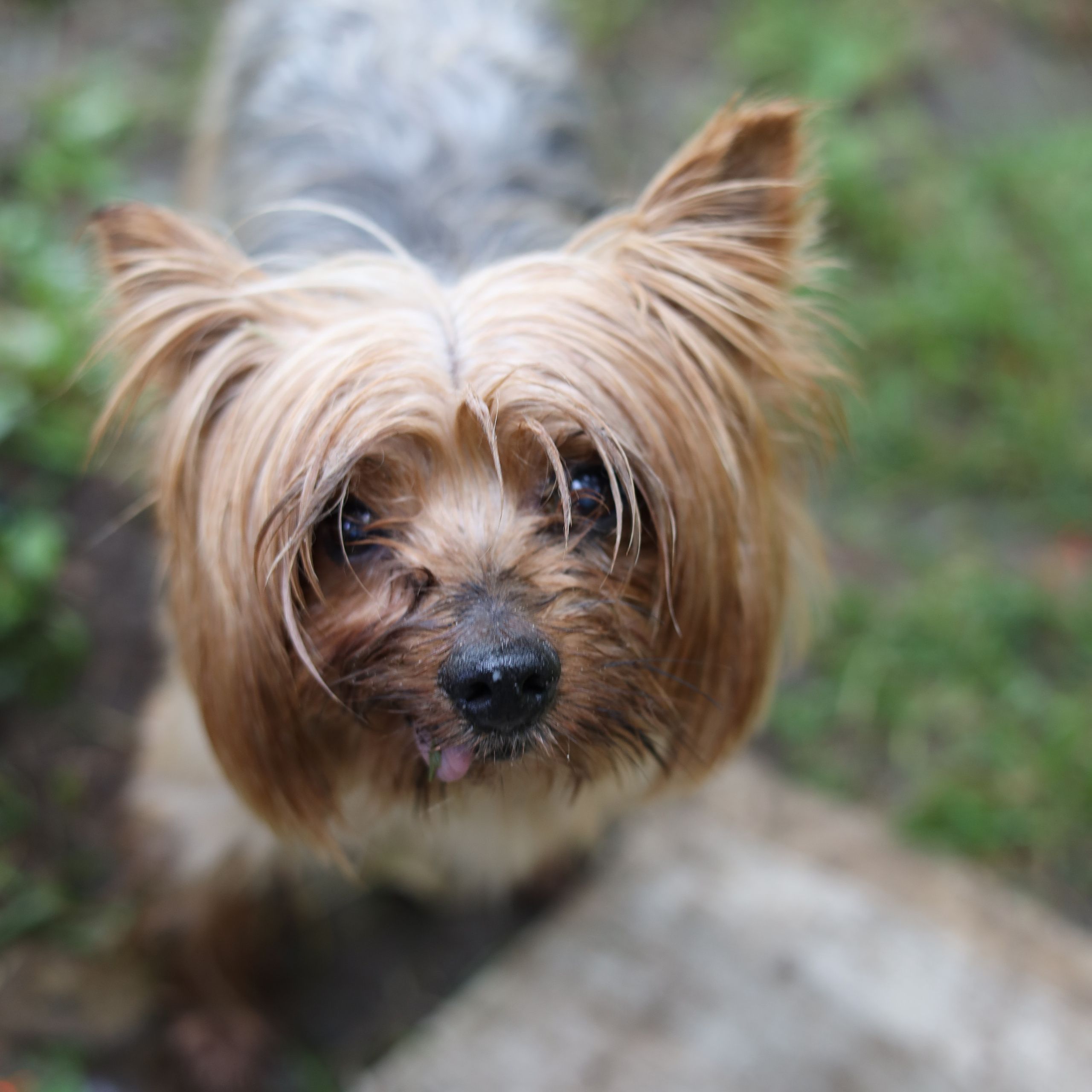 Reviews. Photographer Tatiana Ivanova in Yaroslavl