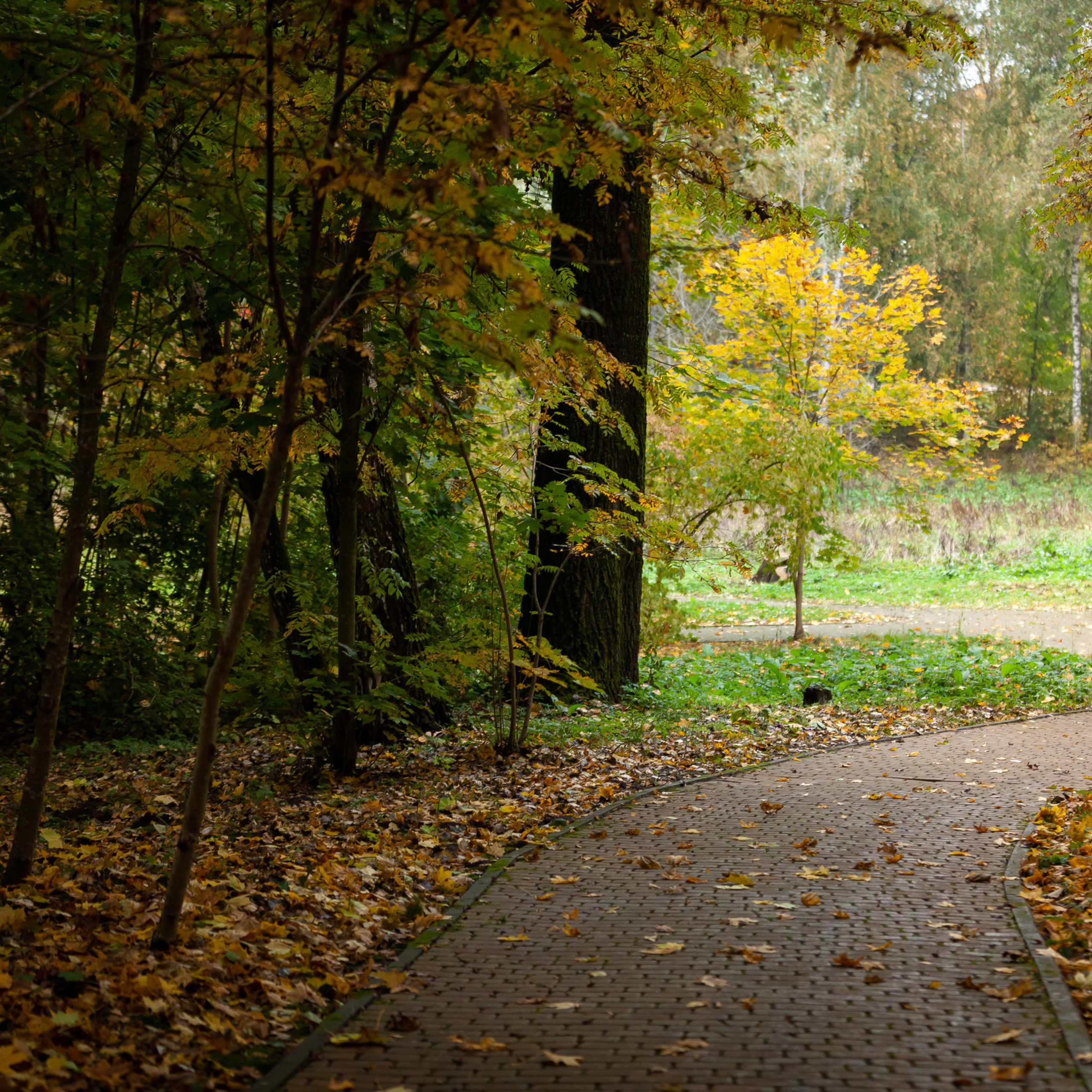 Comments. Фотограф Александр Скрементов (Россия, Москва, Брянск, Орел, Смоленск)