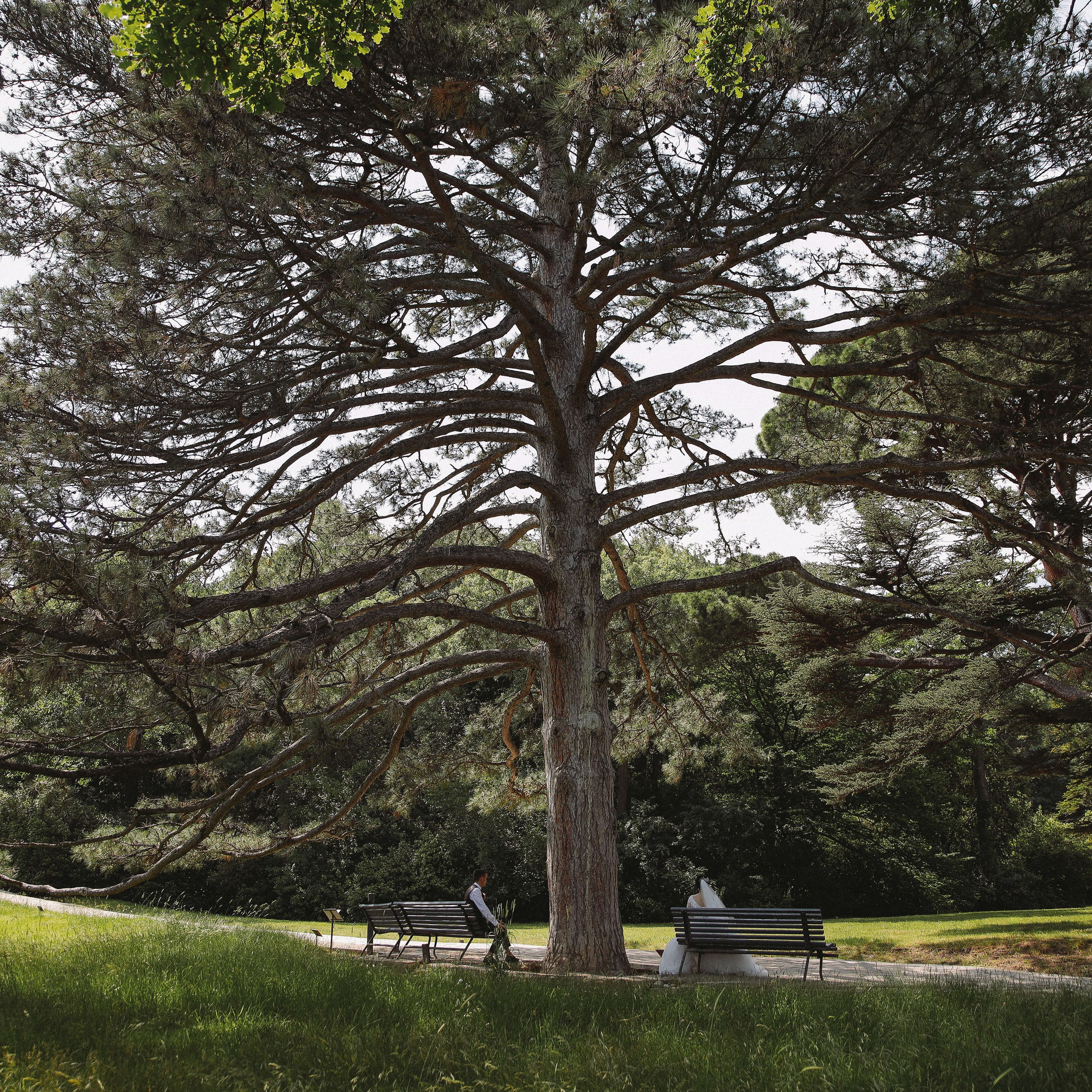 Свадебный фотограф Мироманов Николай в Крыму