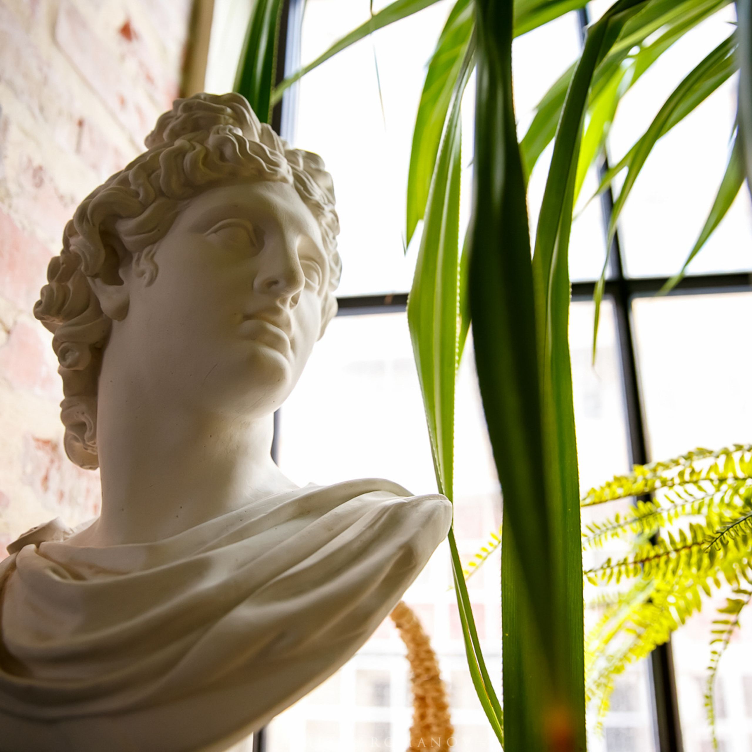 Отзывы. Свадебное фото и видео в Ростове-на-Дону, Краснодаре, Москве и Крыму