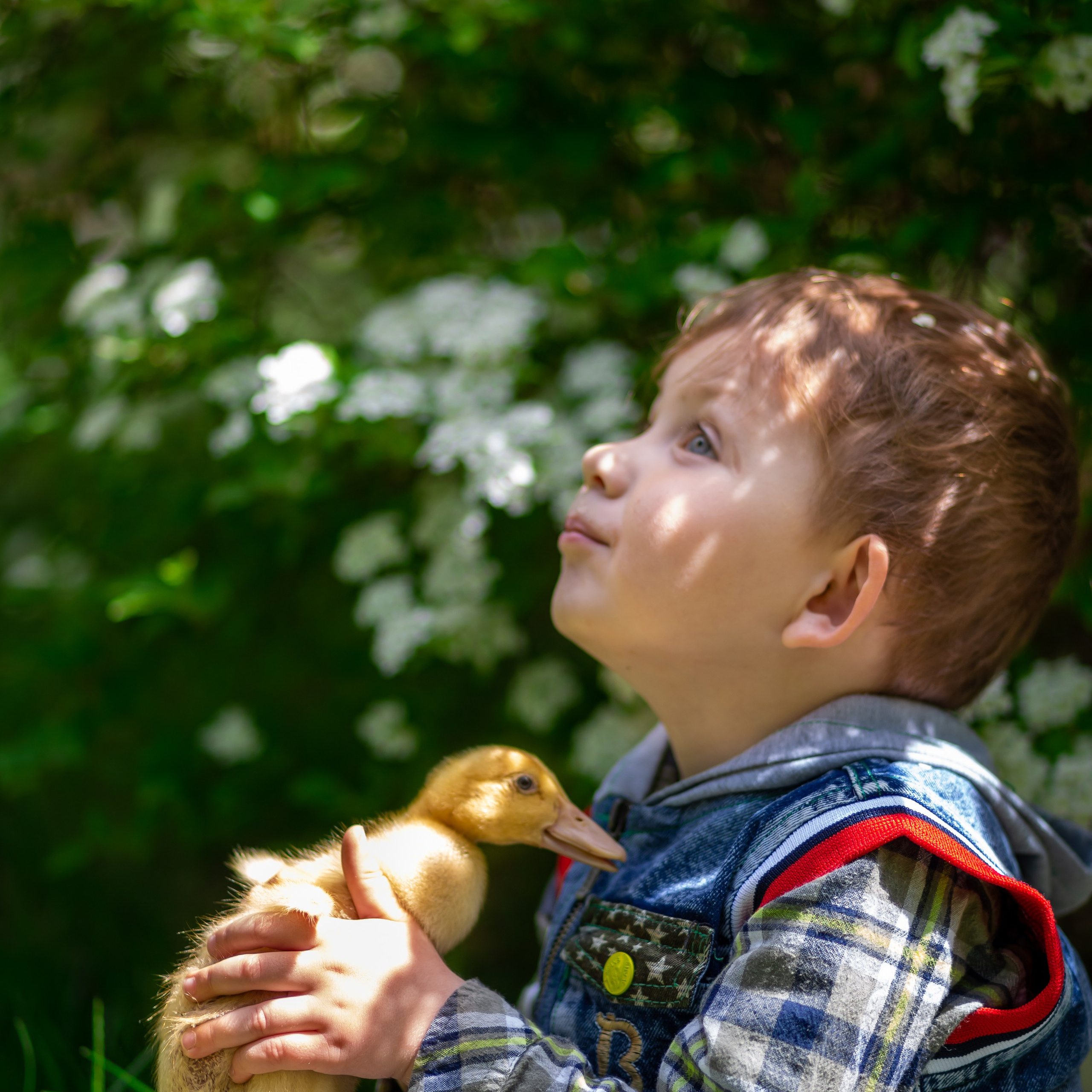Семейный и детский фотограф в Севастополе Наталья Волкова