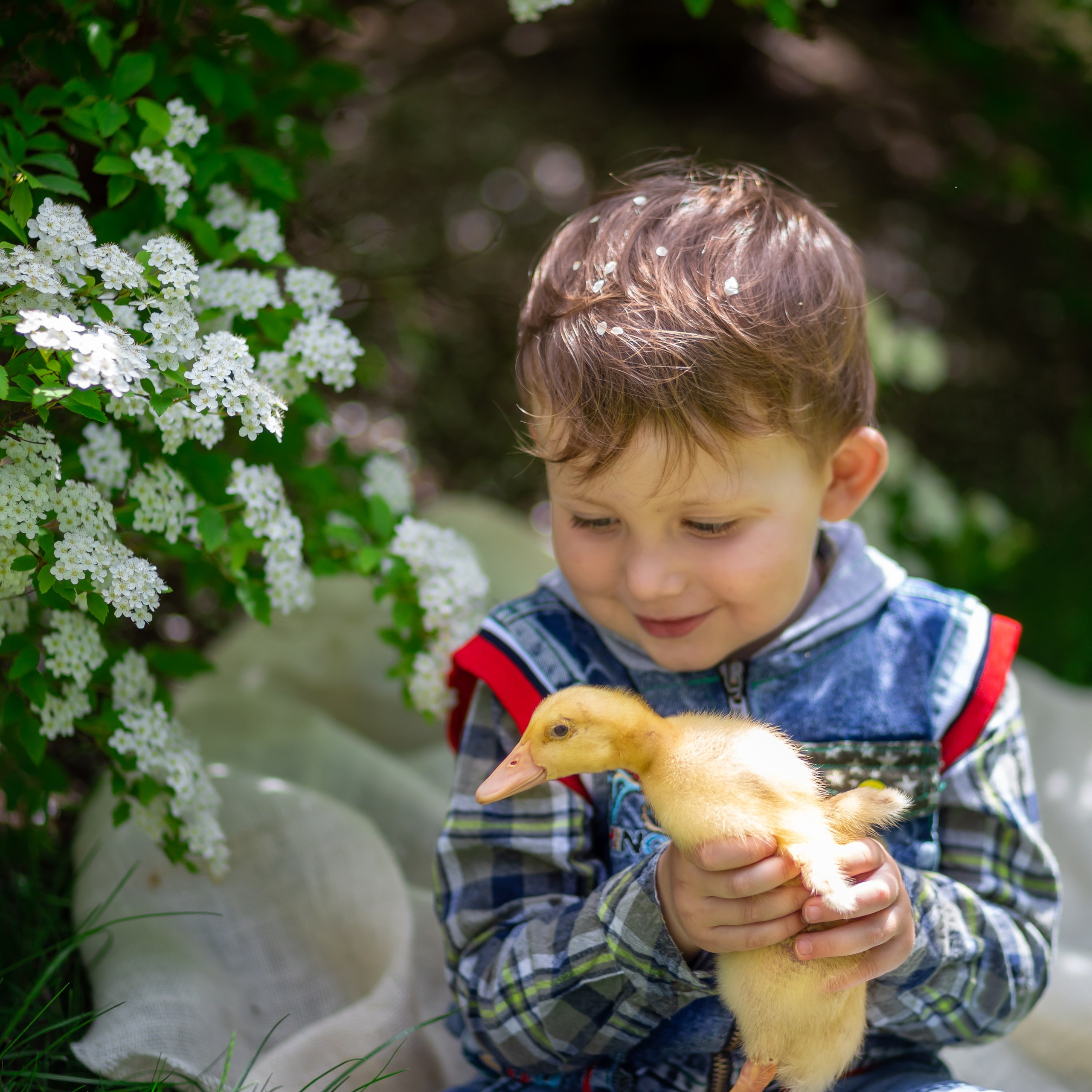Семейный и детский фотограф в Севастополе Наталья Волкова