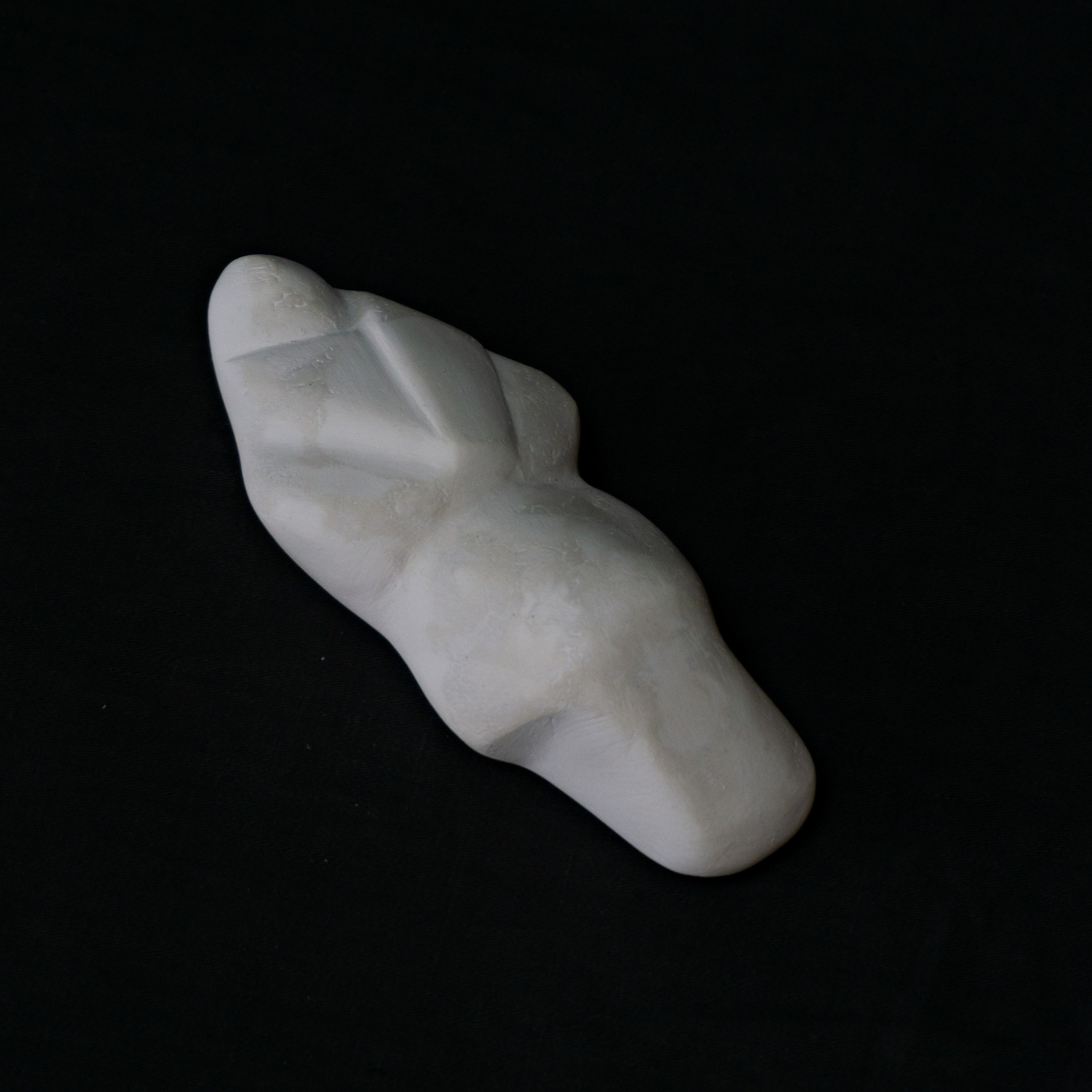 Укрытие. Anna Vishnevskaya