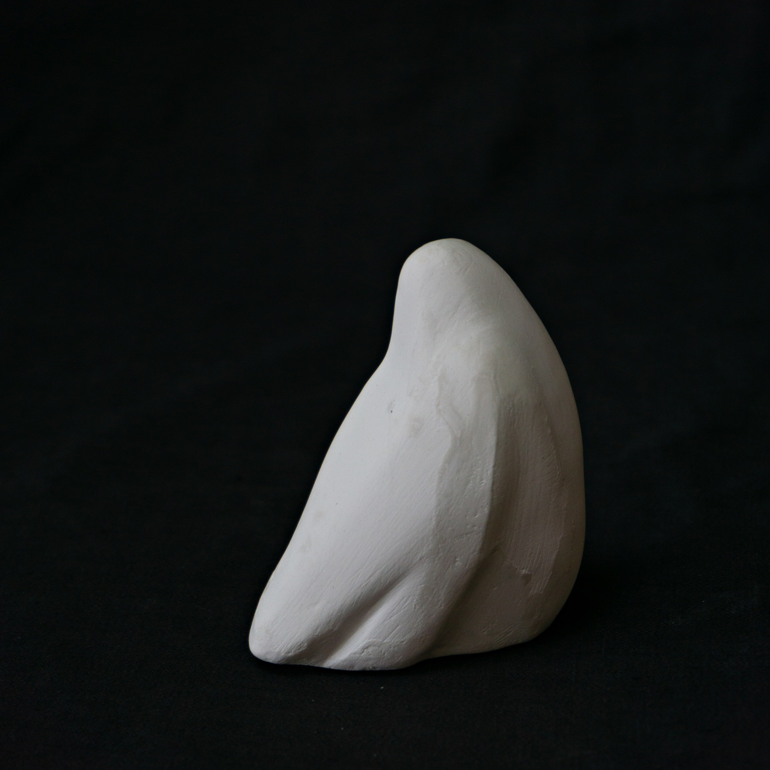 Укрытие. Anna Vishnevskaya