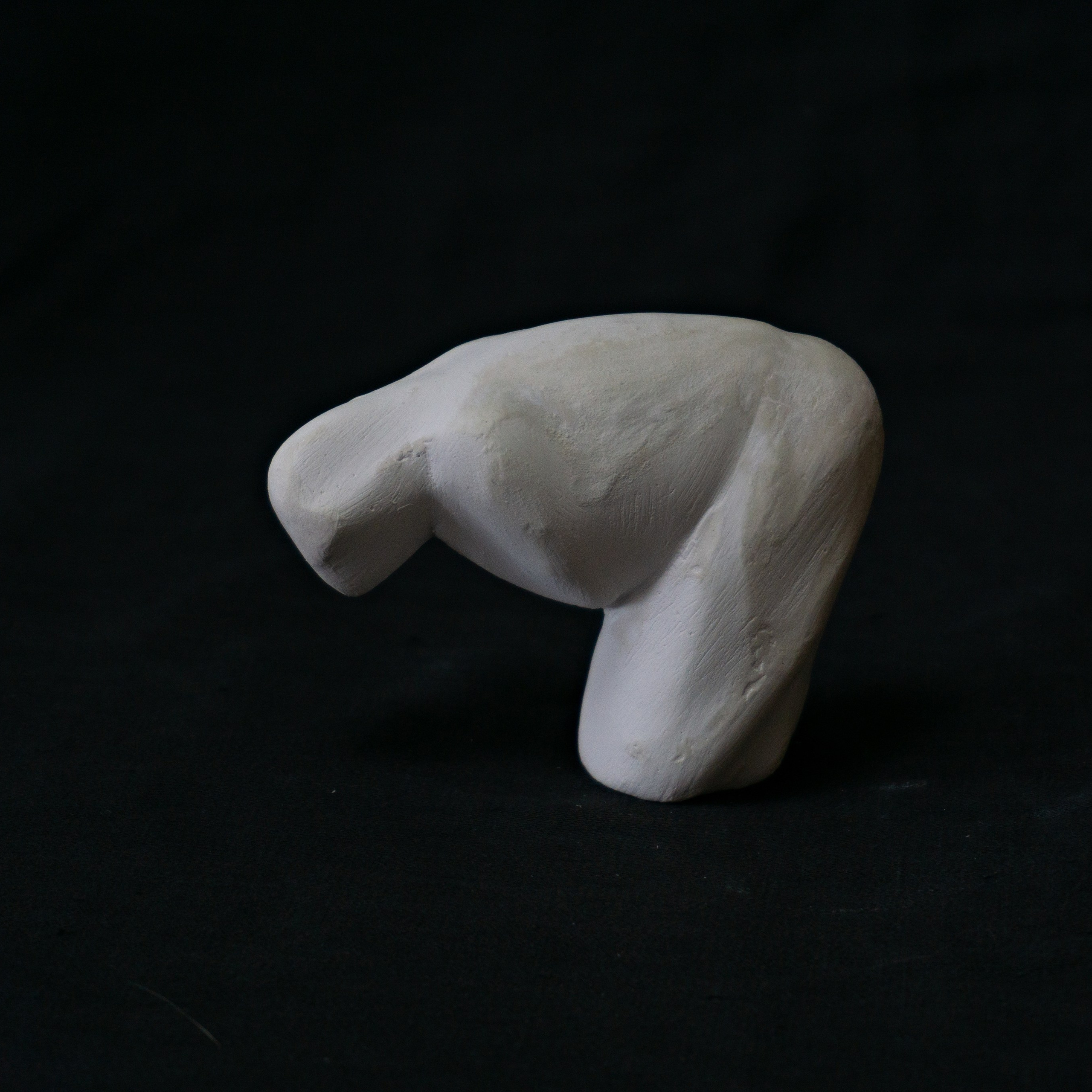 Укрытие. Anna Vishnevskaya