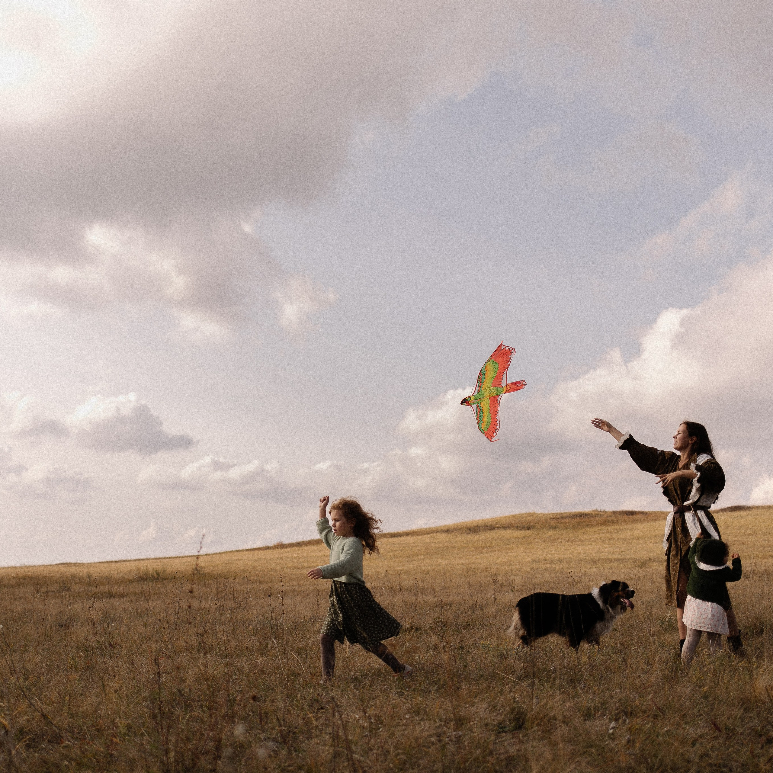 А давай запустим воздушного змея?