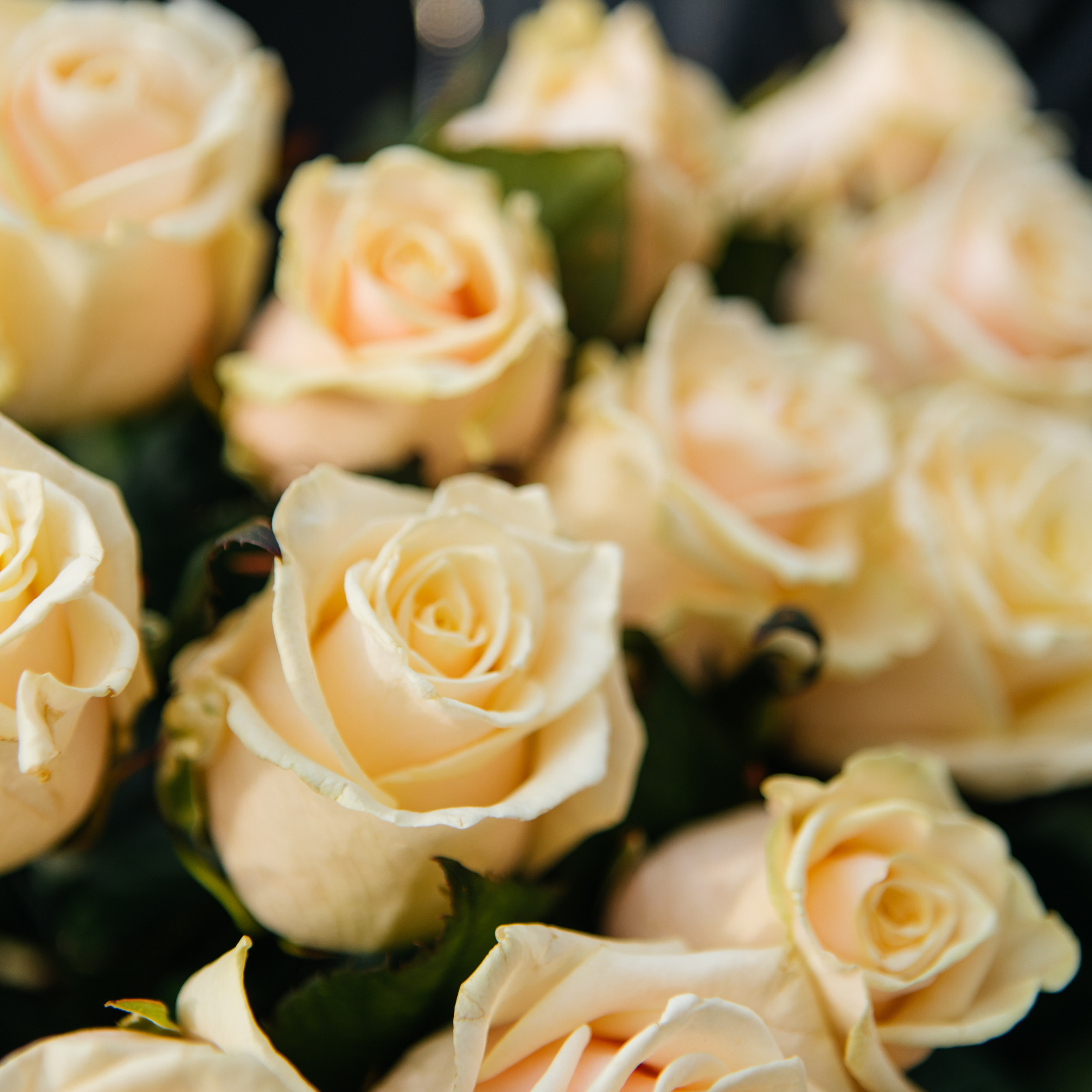 Отзывы. Фотограф Кочкаев Роман