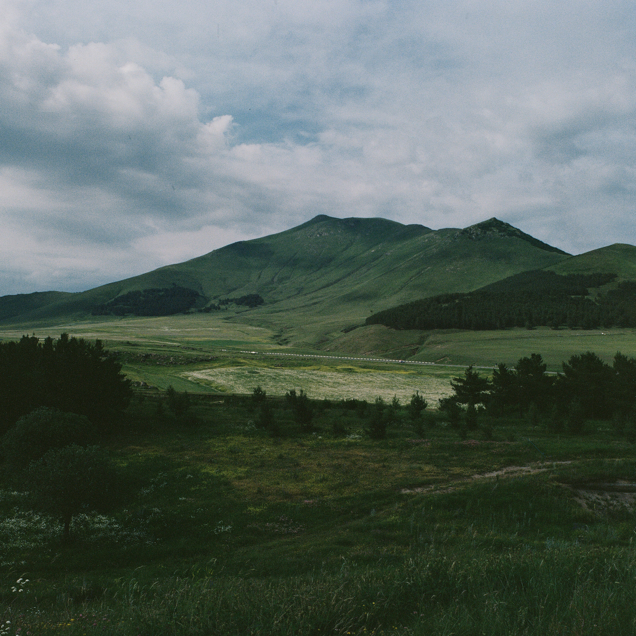 I Had Left My Home Early in The Morning. Художница Лилит Матевосян