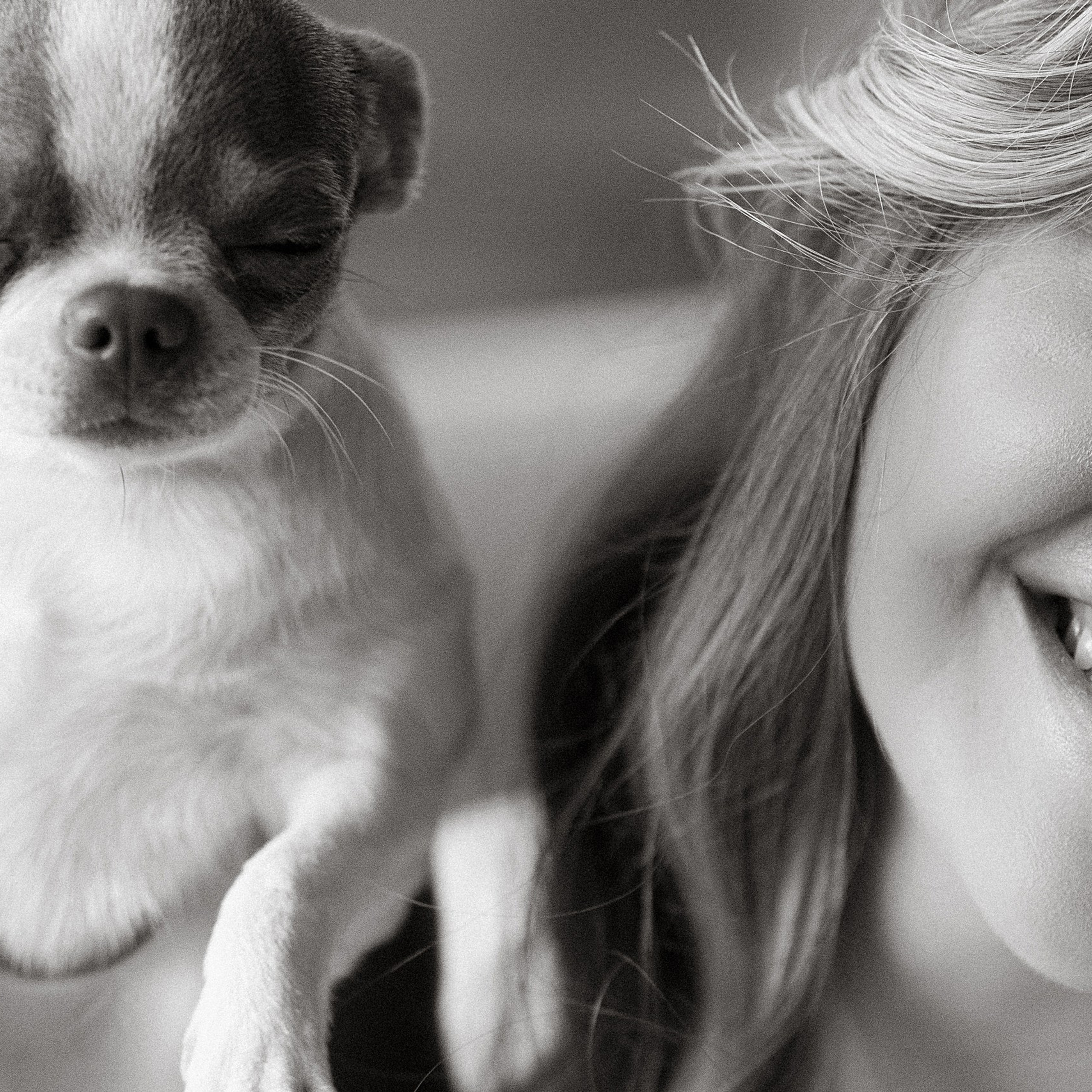 Как провести утреннюю съёмку на свадьбе: советы от свадебного организатора. Свадебное и event агентство До Мурашек Ростов-на-Дону