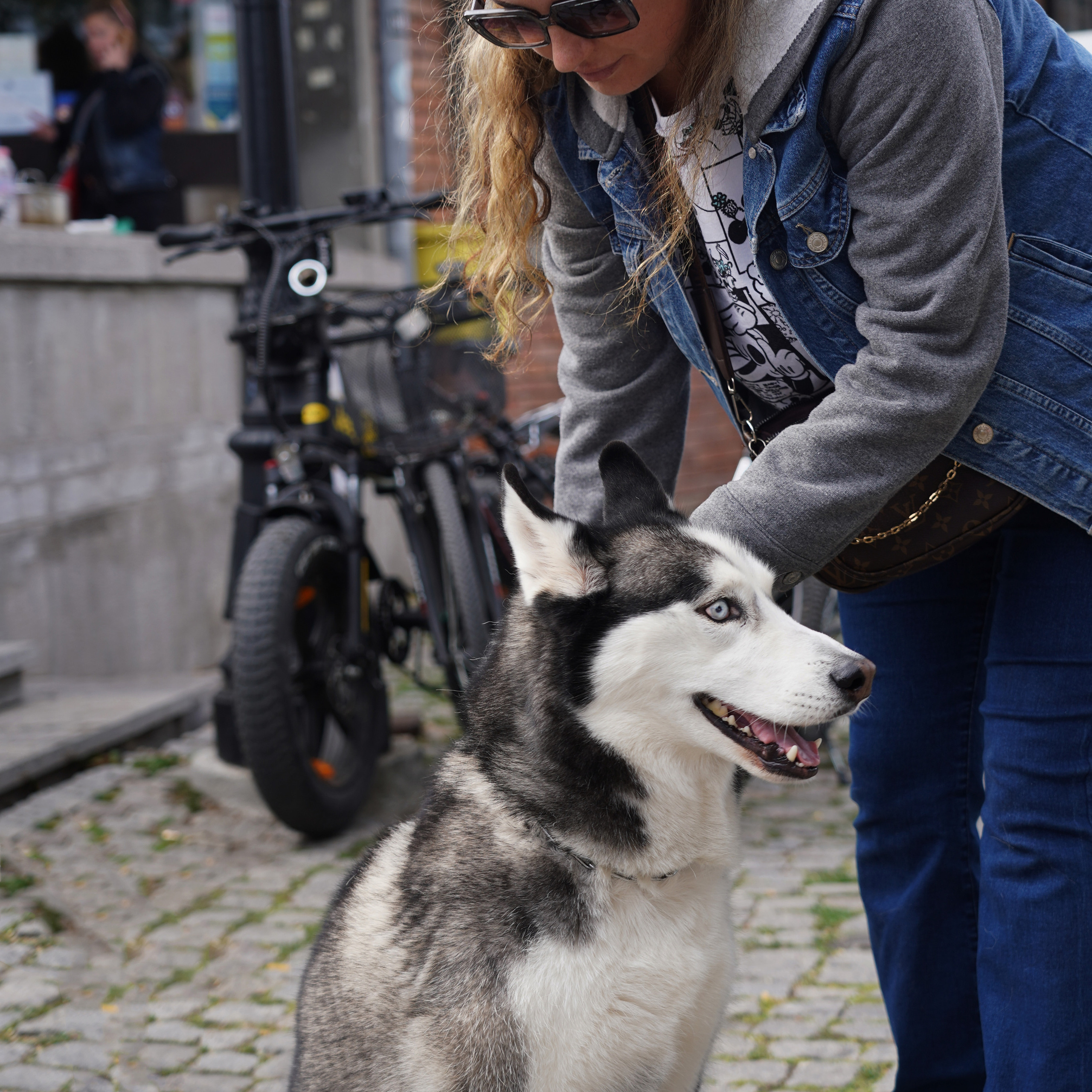 Услуги. Моя фотостудия: поле, лес, море и горы… Казань — Москва — Болгария
