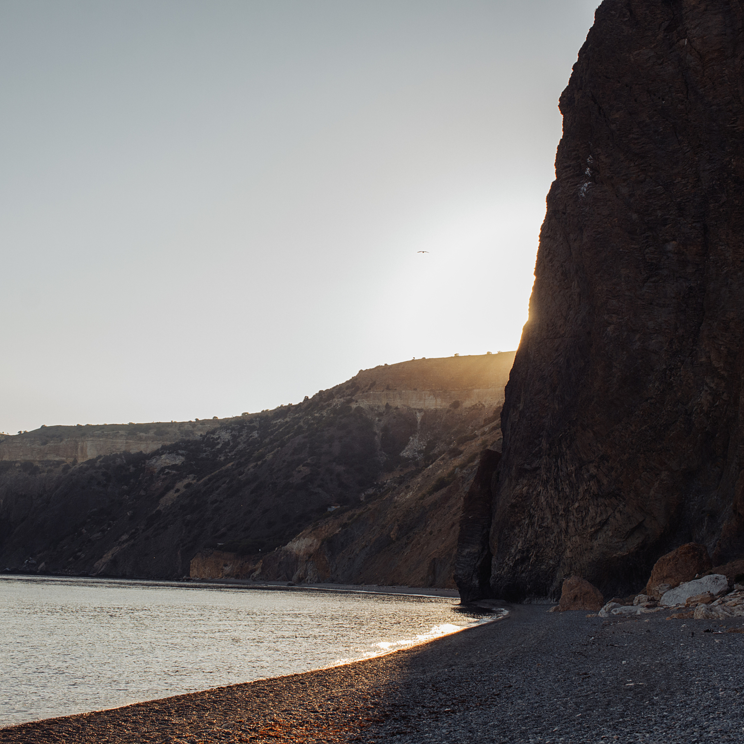 Алексей и Анастасия