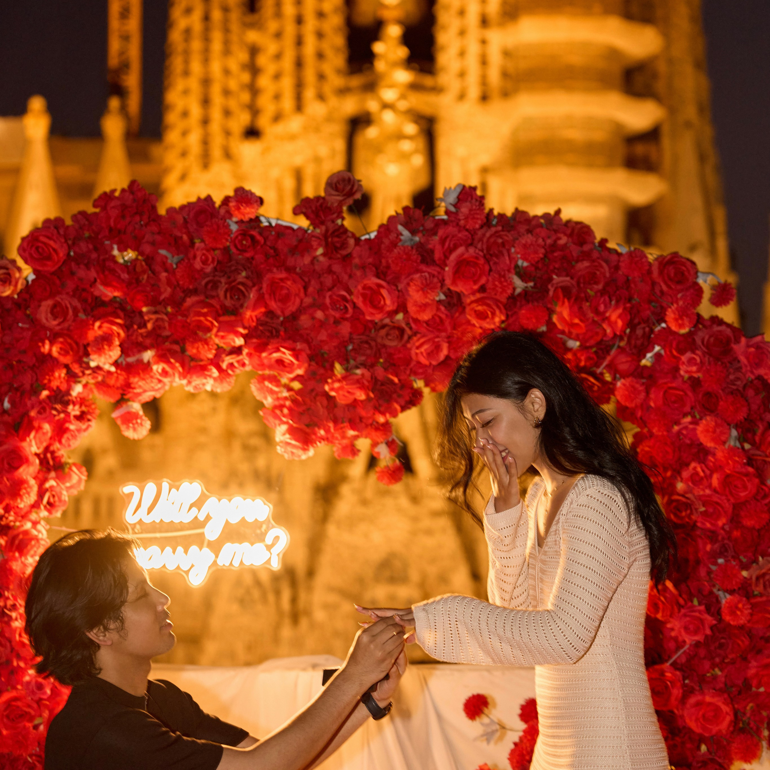 Proposal terrasa Sagrada Familia