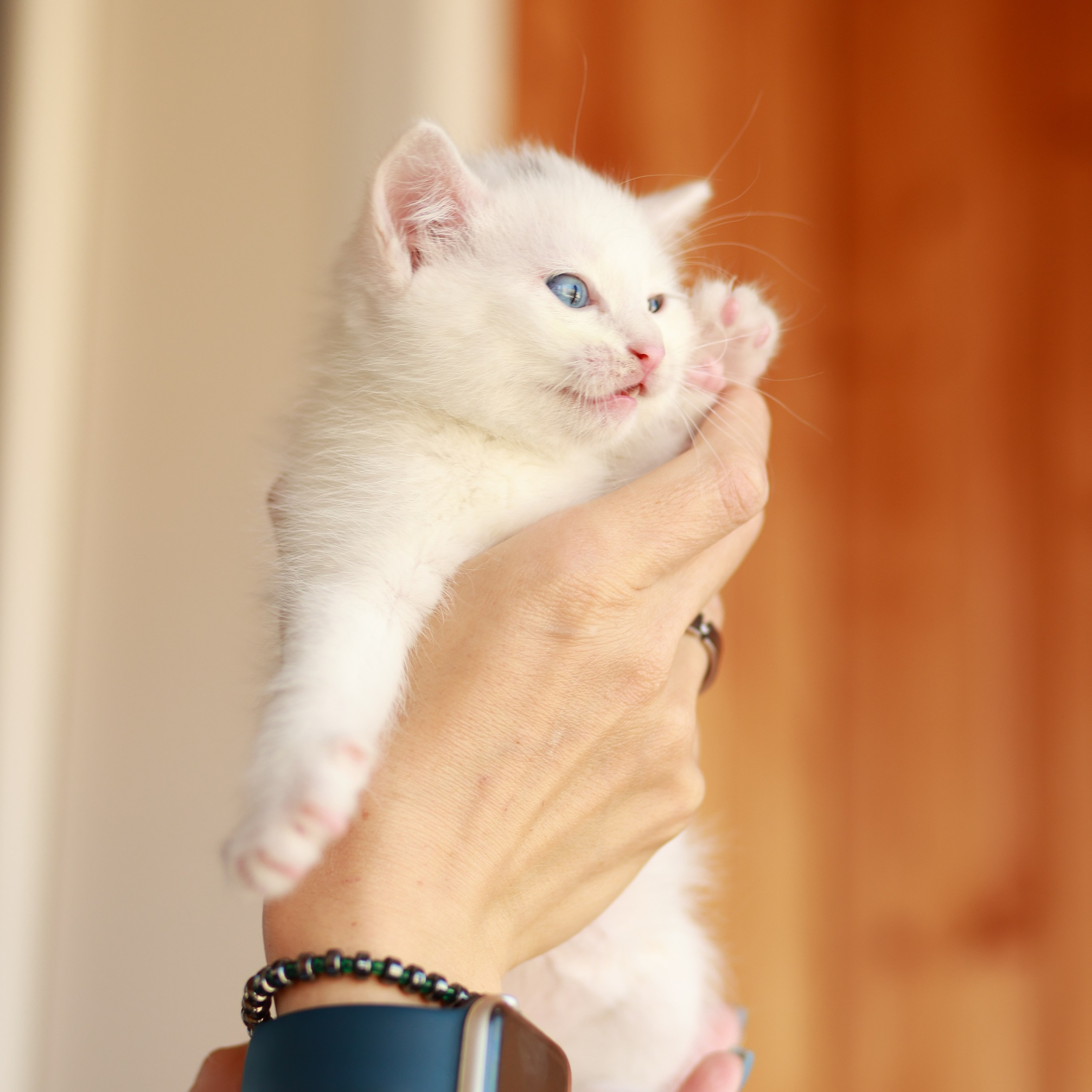 Отзывы. Фотограф Наталия Федосова, г. Москва. TG и Instagram @nataliya_raw