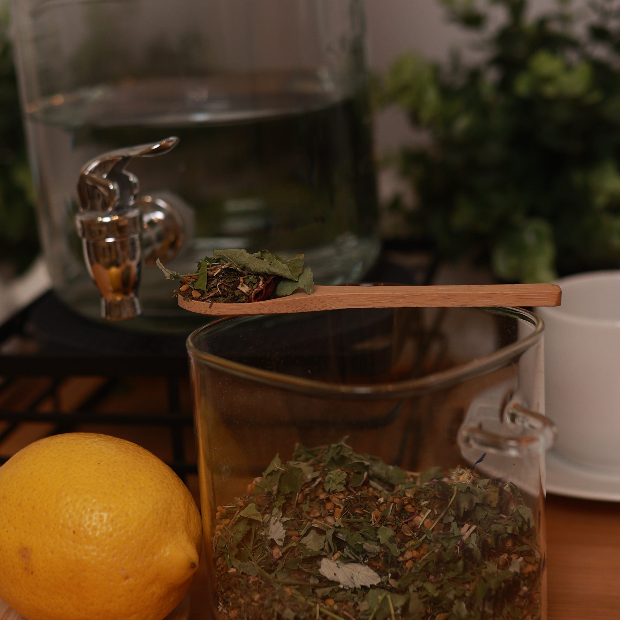 Отзывы. Фотограф Наталия Федосова, г. Москва. TG и Instagram @nataliya_raw