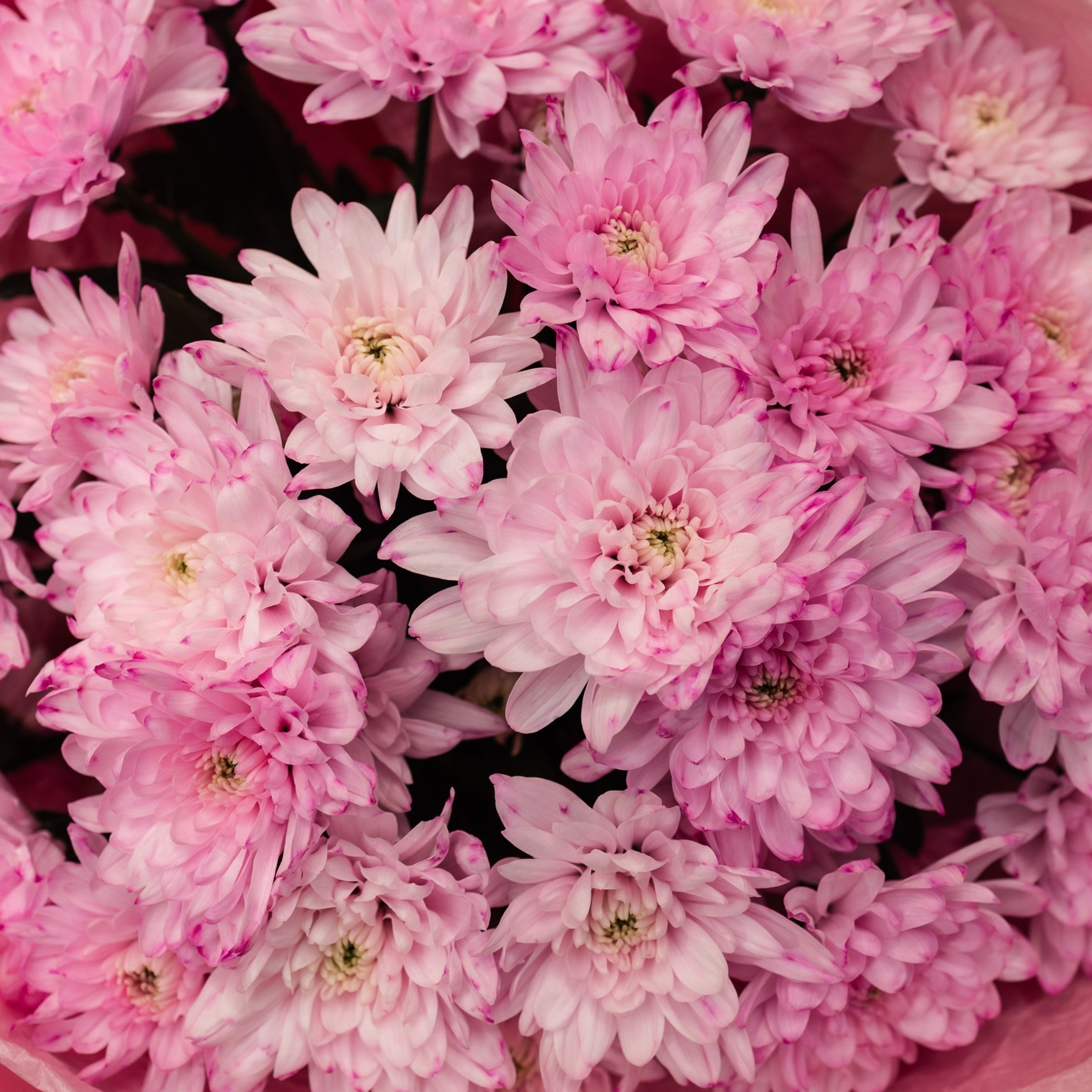 Отзывы. Фотограф Екатеринбург, Арамиль Антон Чупин