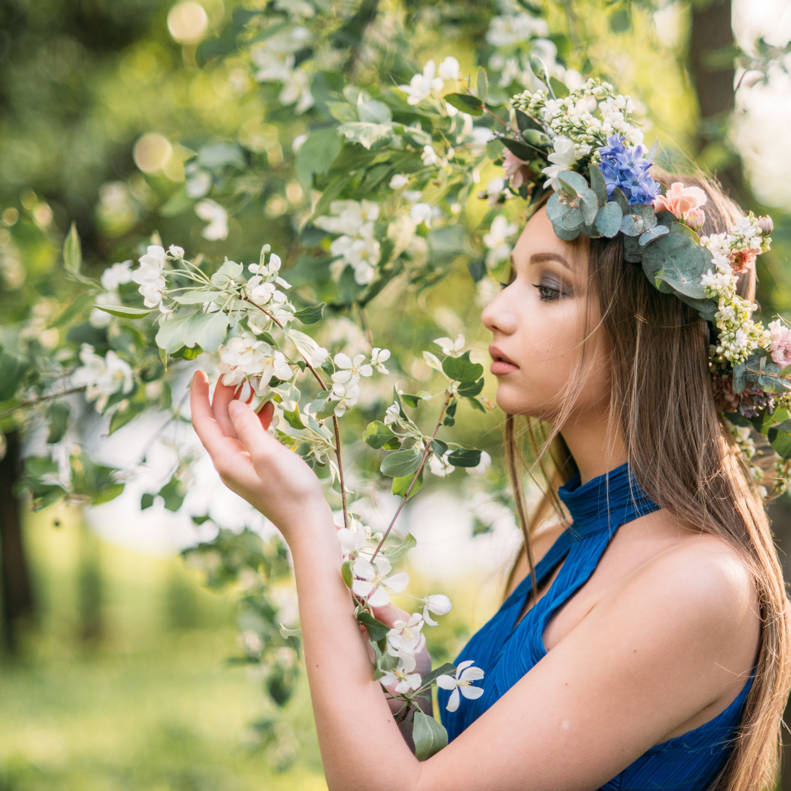 Цветение яблони