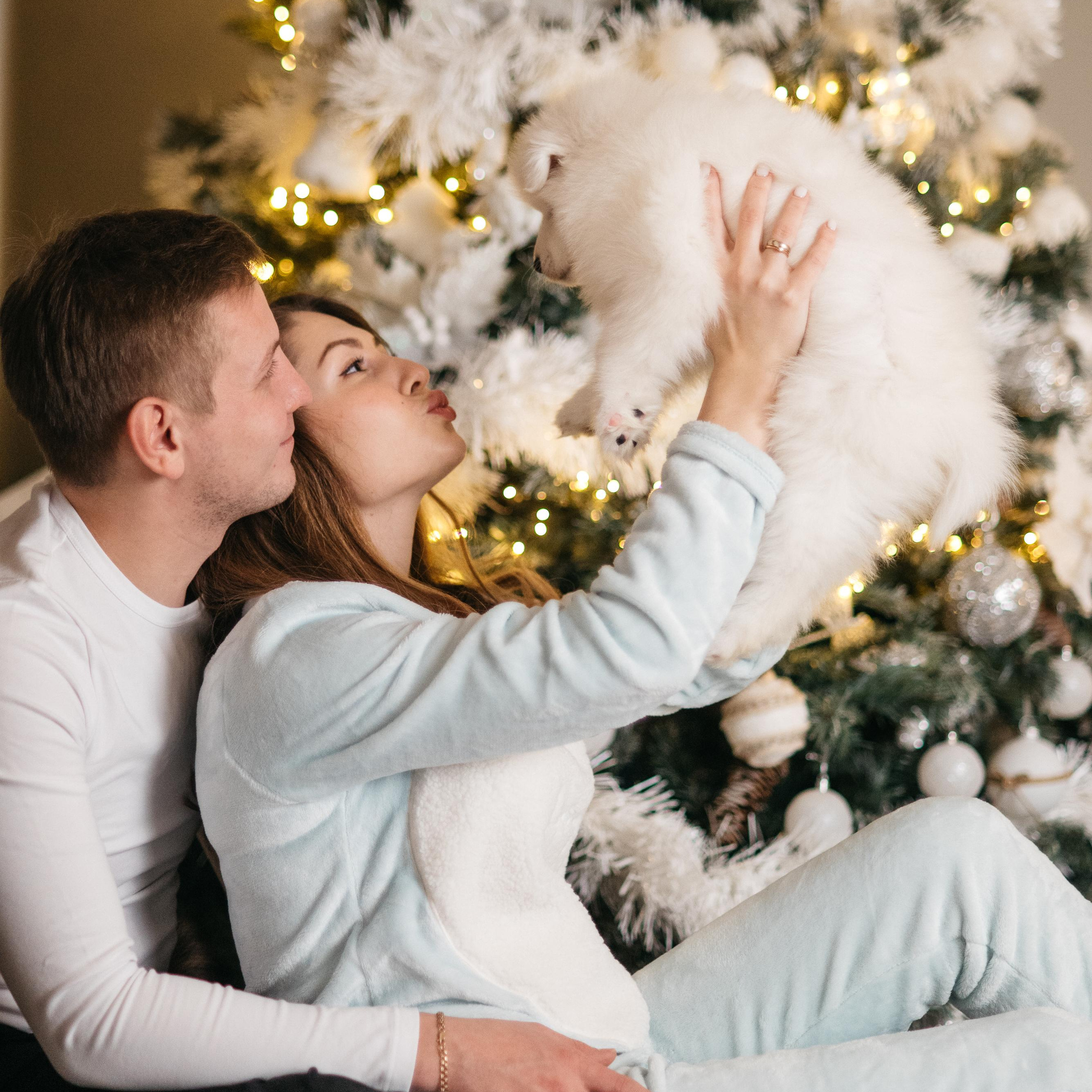 Новогодняя с щенками