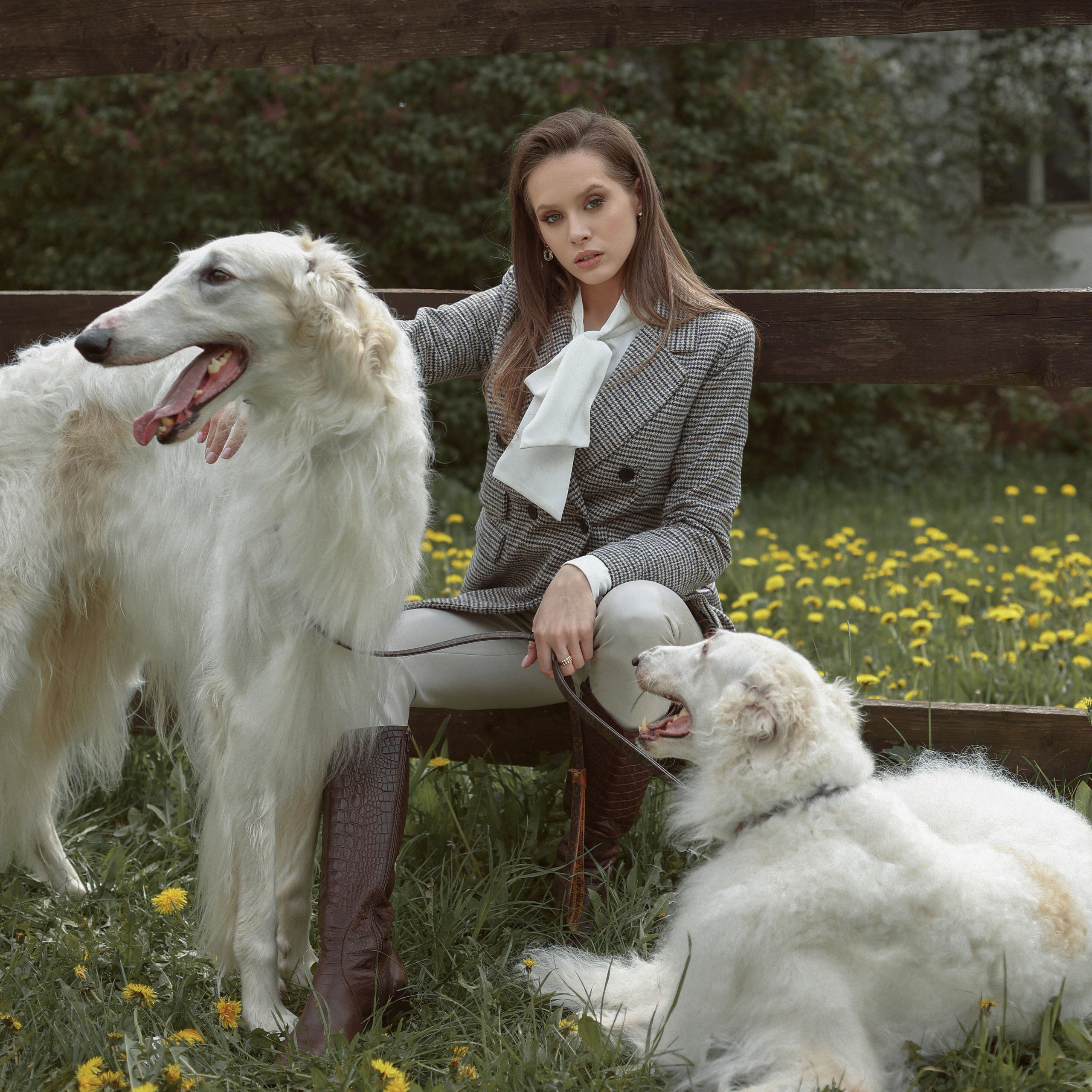 Диана с борзыми. Abramova Julia — Фотограф