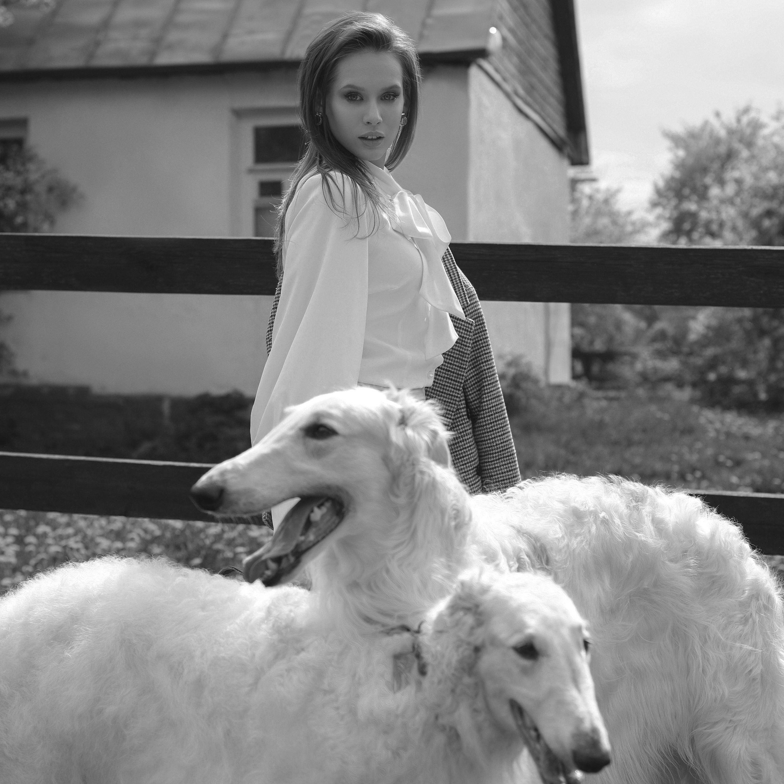 Диана с борзыми. Abramova Julia — Фотограф