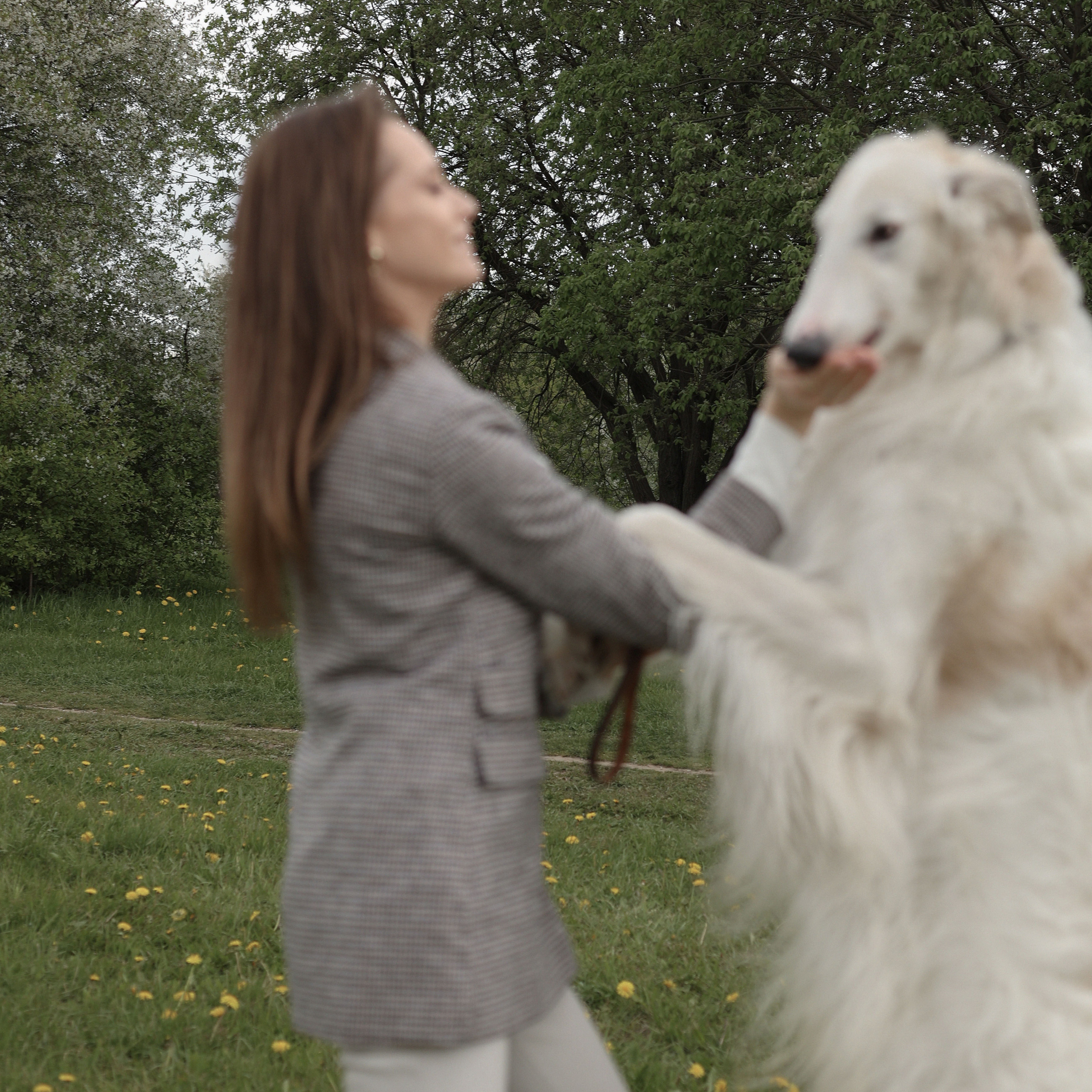 Диана с борзыми. Abramova Julia — Фотограф