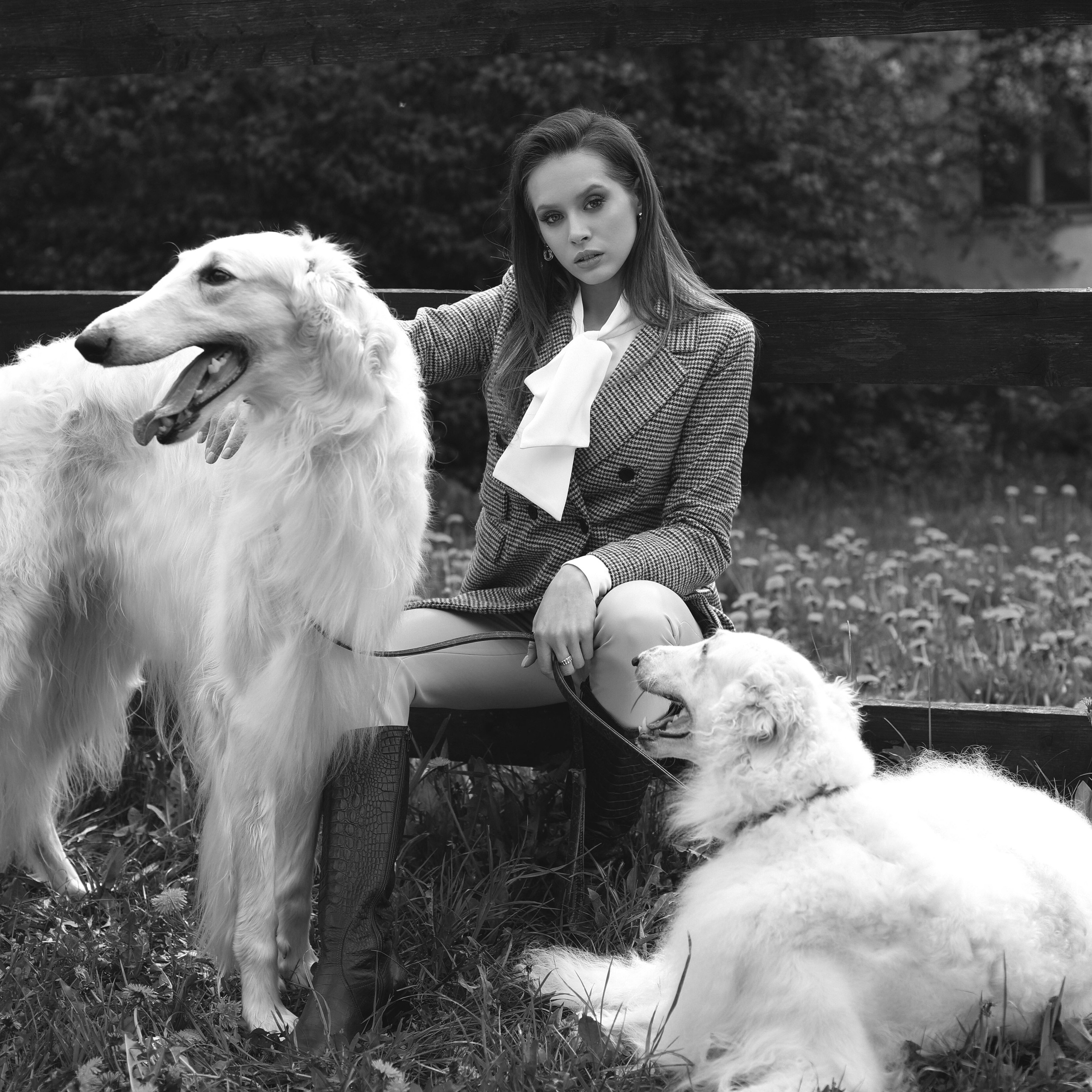 Диана с борзыми