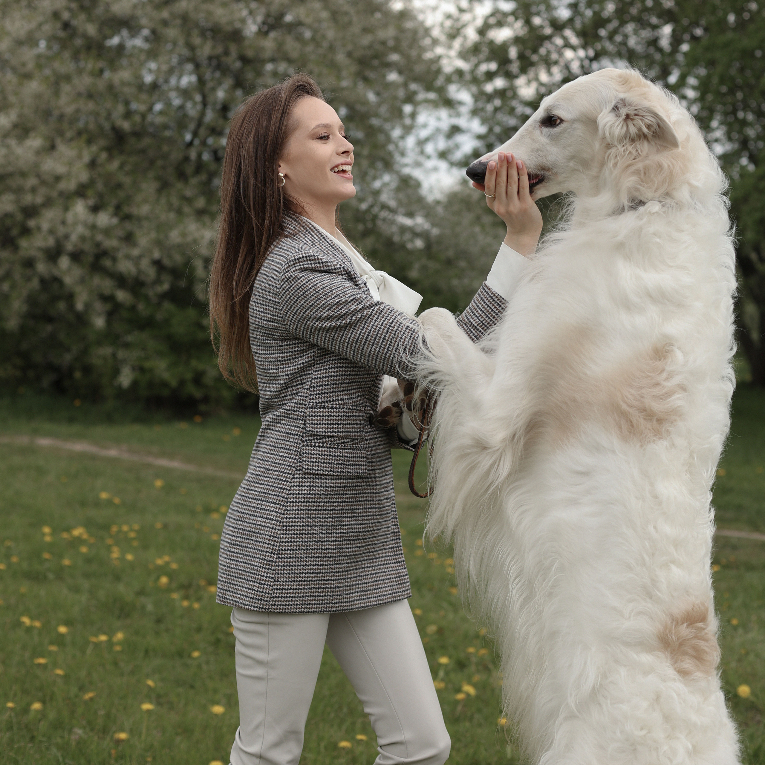 Диана с борзыми. Abramova Julia — Фотограф