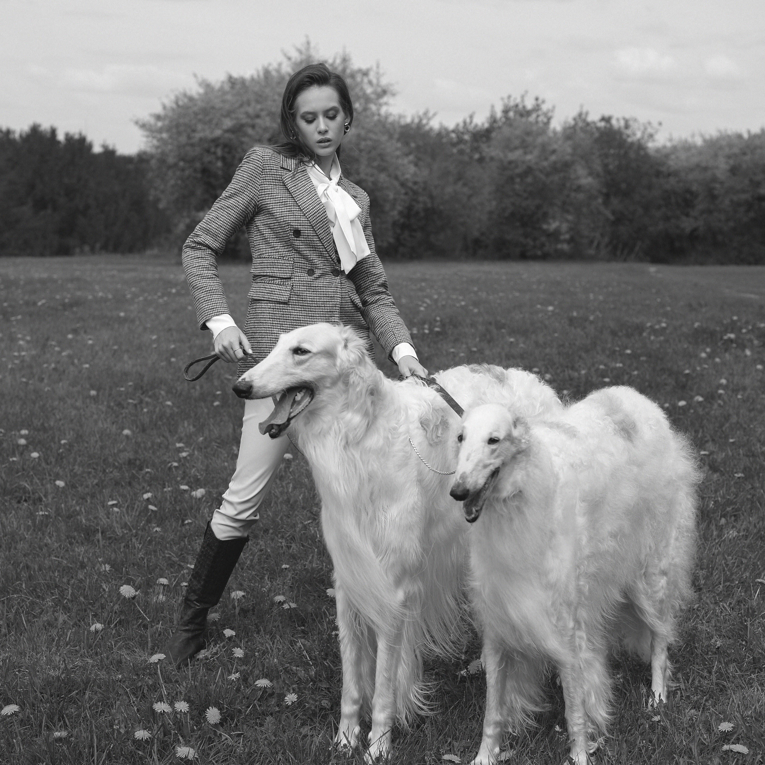 Диана с борзыми. Abramova Julia — Фотограф