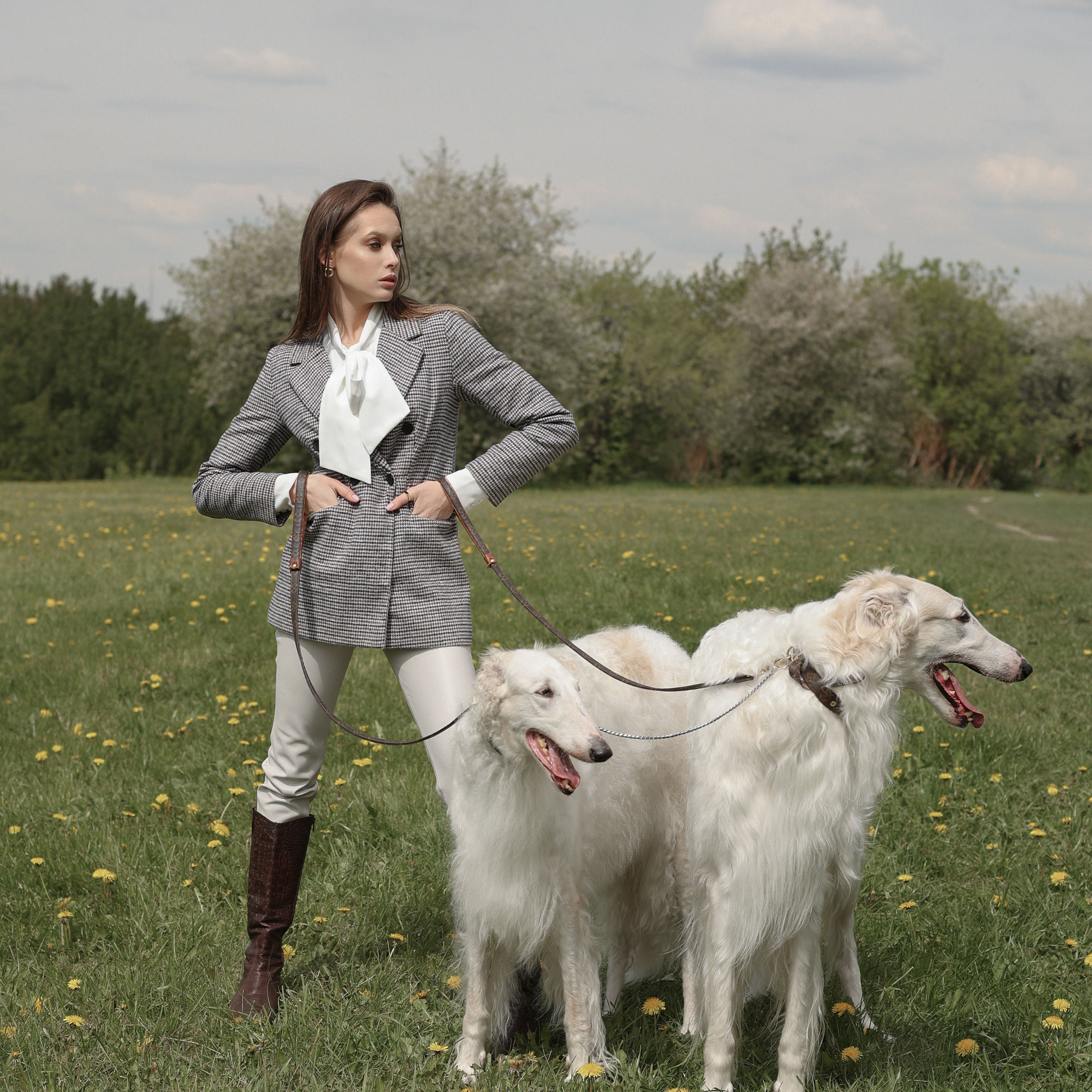 Диана с борзыми. Abramova Julia — Фотограф