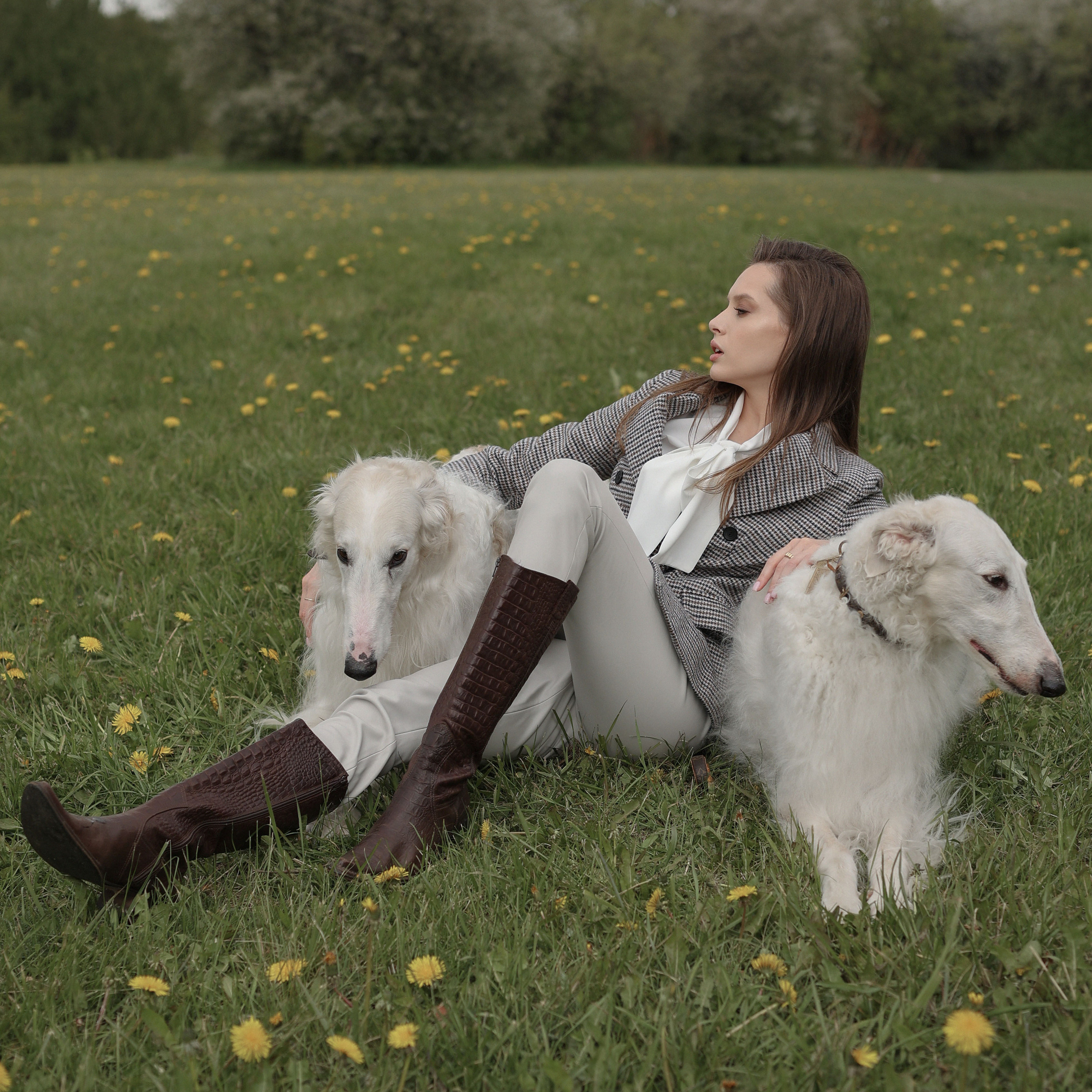 Диана с борзыми. Abramova Julia — Фотограф