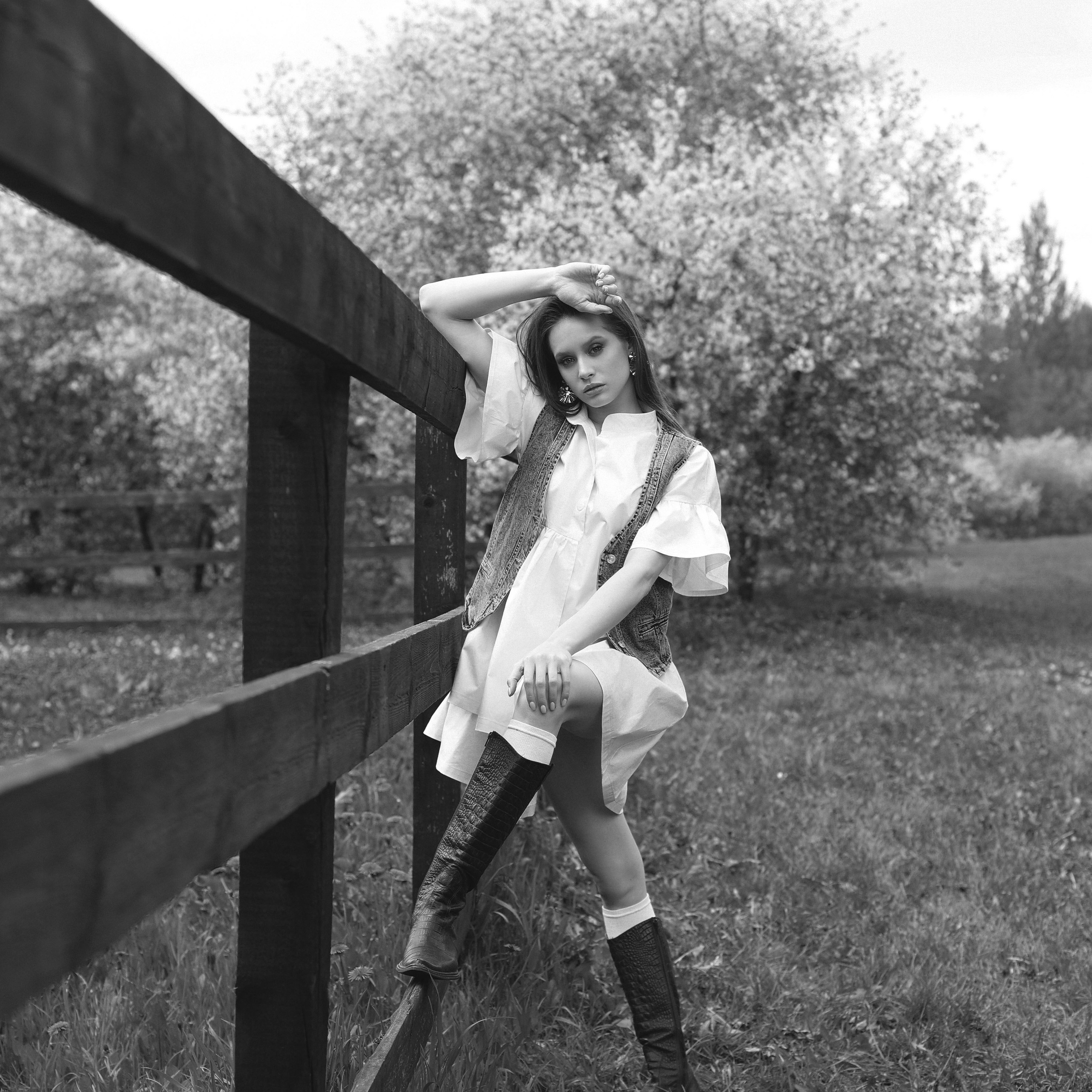 Диана с борзыми. Abramova Julia — Фотограф