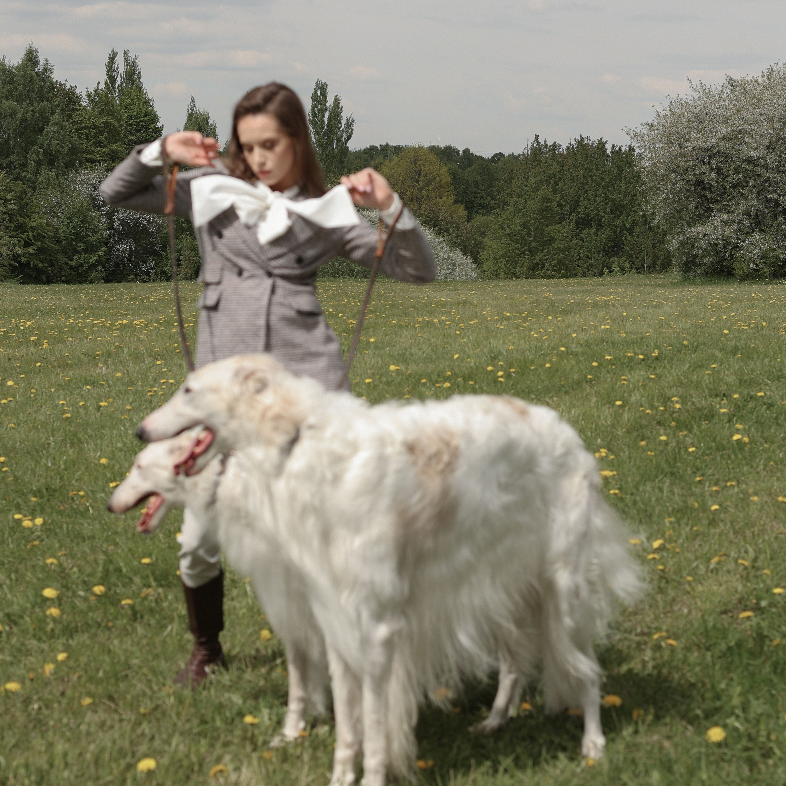 Диана с борзыми. Abramova Julia — Фотограф