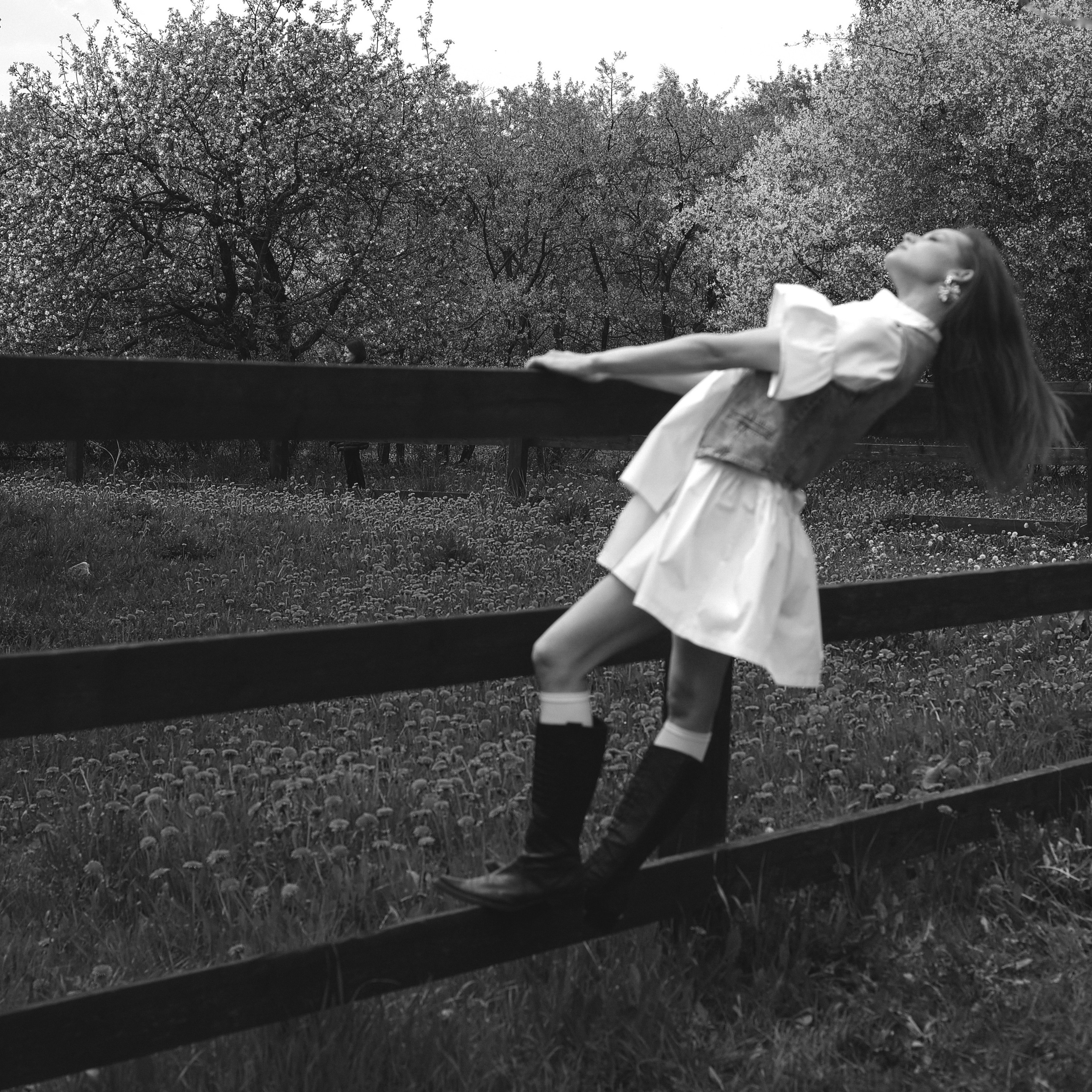 Диана с борзыми. Abramova Julia — Фотограф