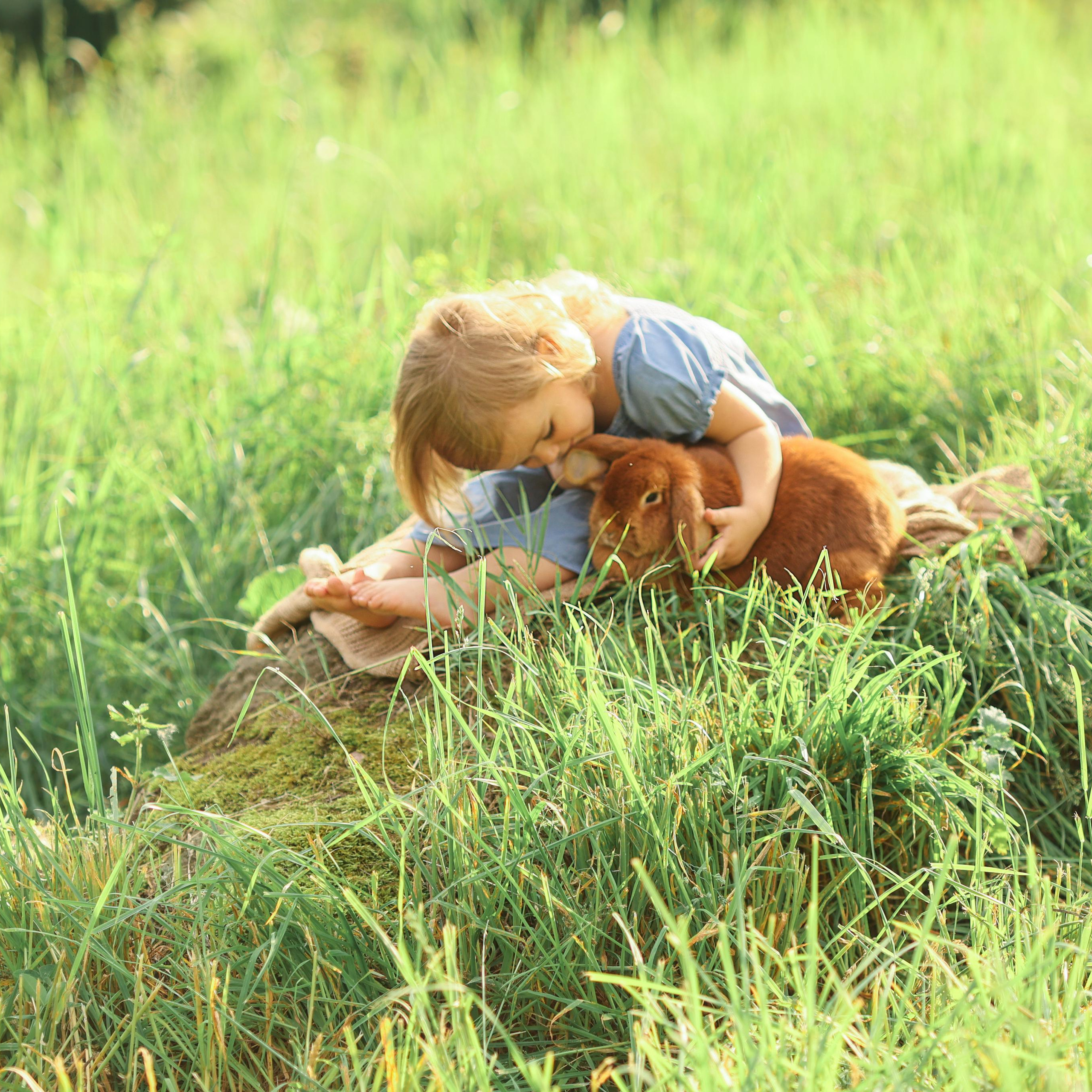 Катя, Аня и Маруся Трякины. Abramova Julia — Фотограф