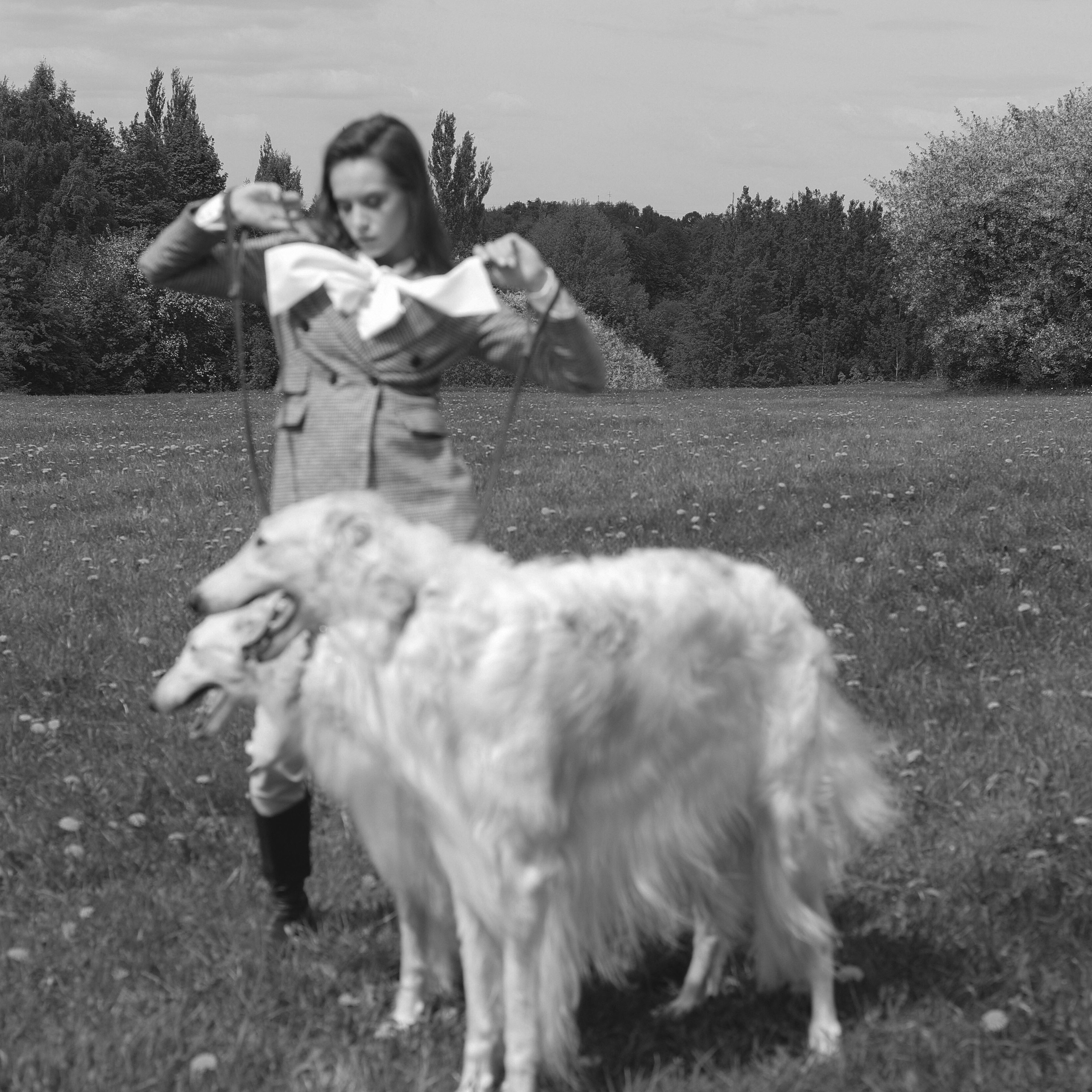 Диана с борзыми. Abramova Julia — Фотограф