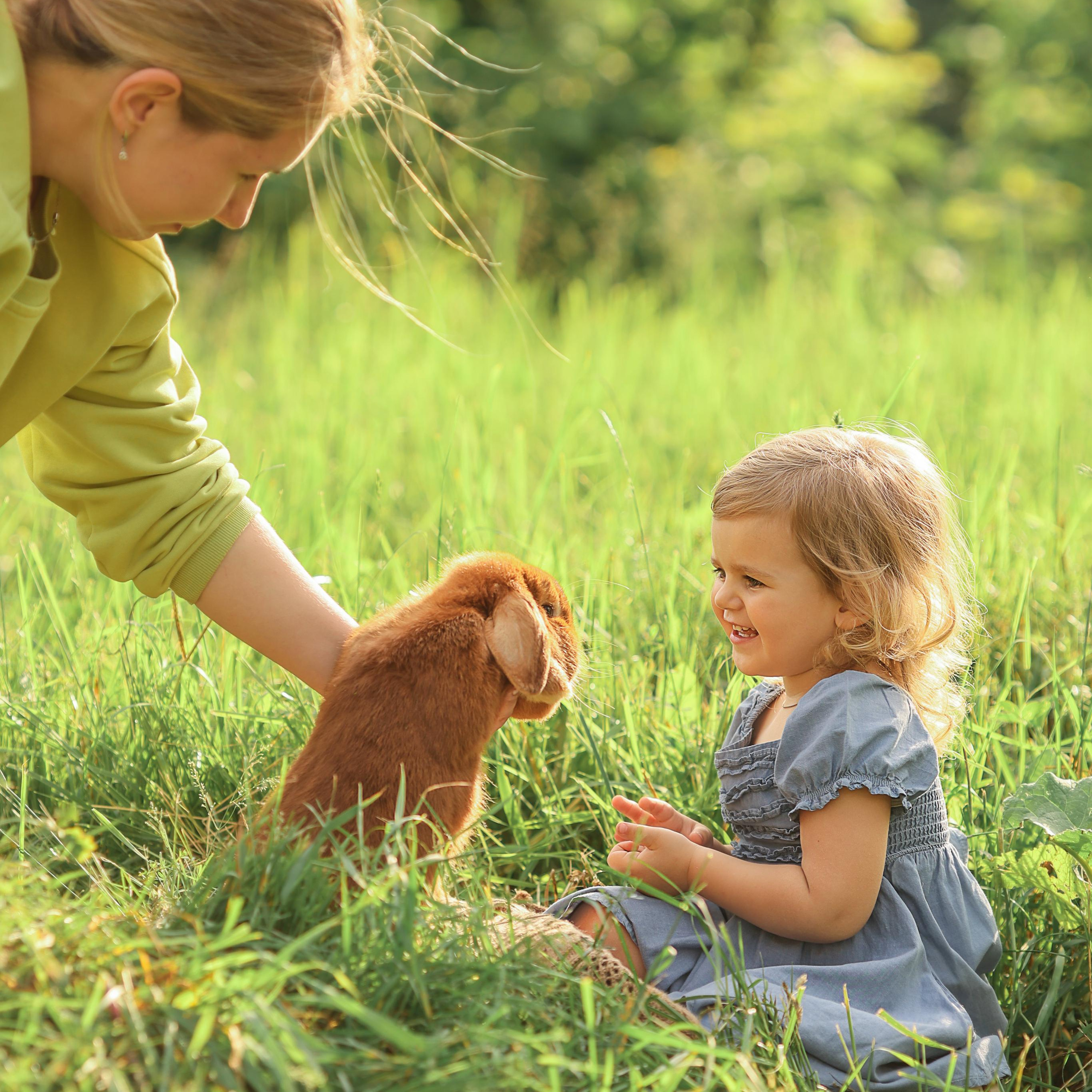 Катя, Аня и Маруся Трякины. Abramova Julia — Фотограф
