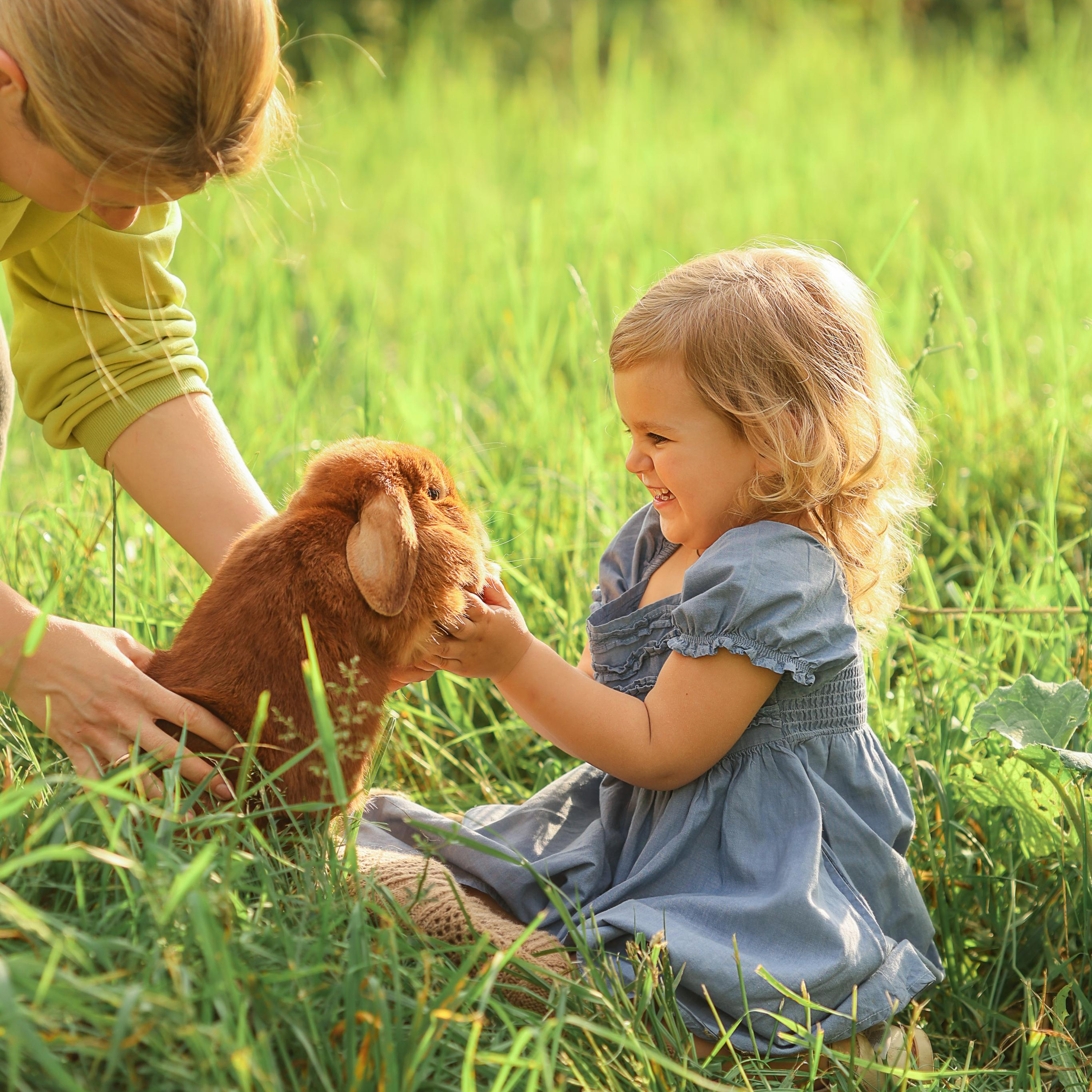 Катя, Аня и Маруся Трякины. Abramova Julia — Фотограф
