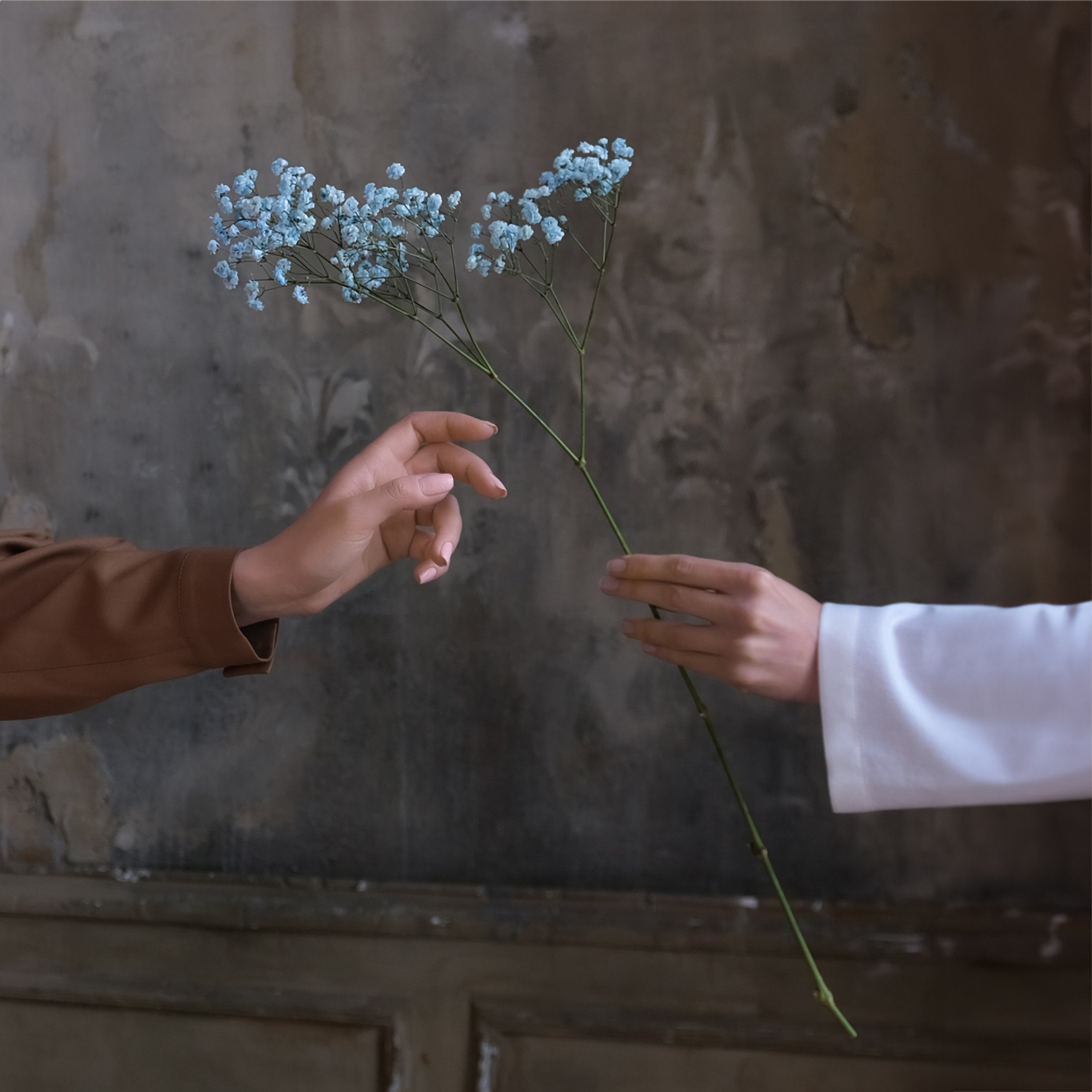 Видео распаковка